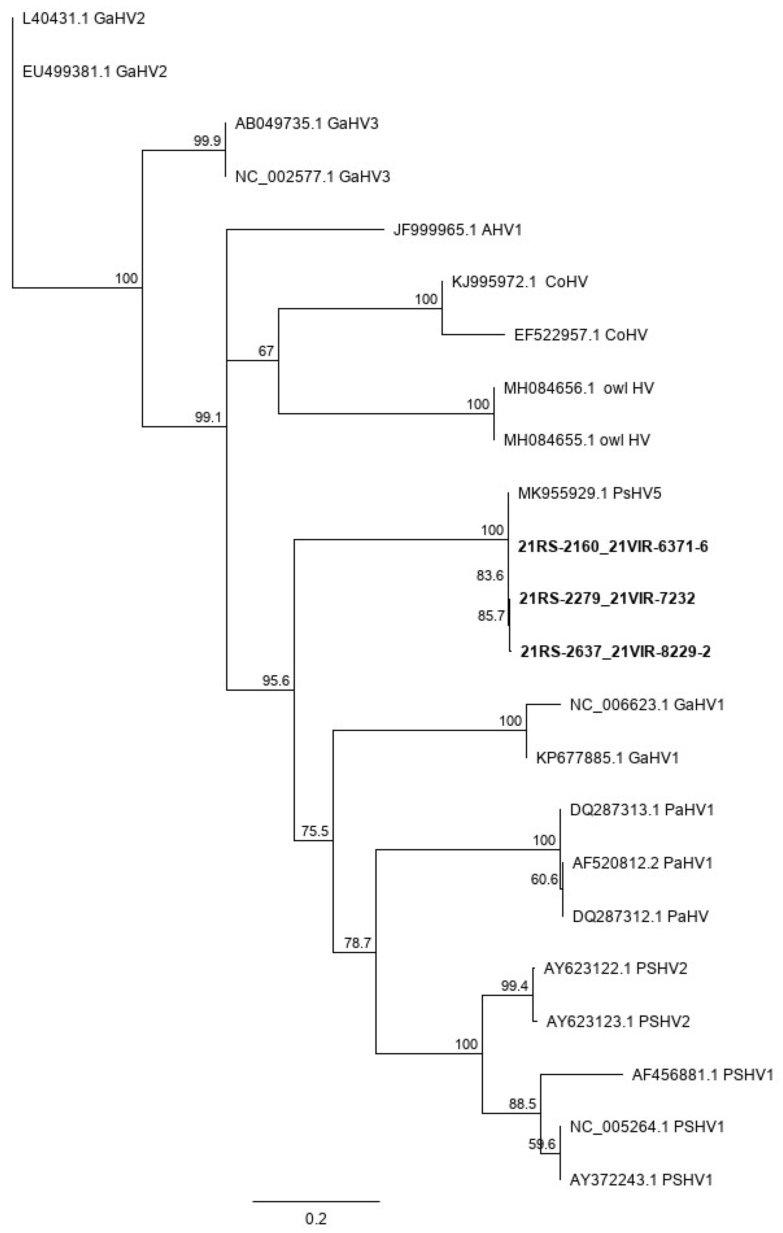 Animals 12 00188 g006 Animals 12 00188 g006