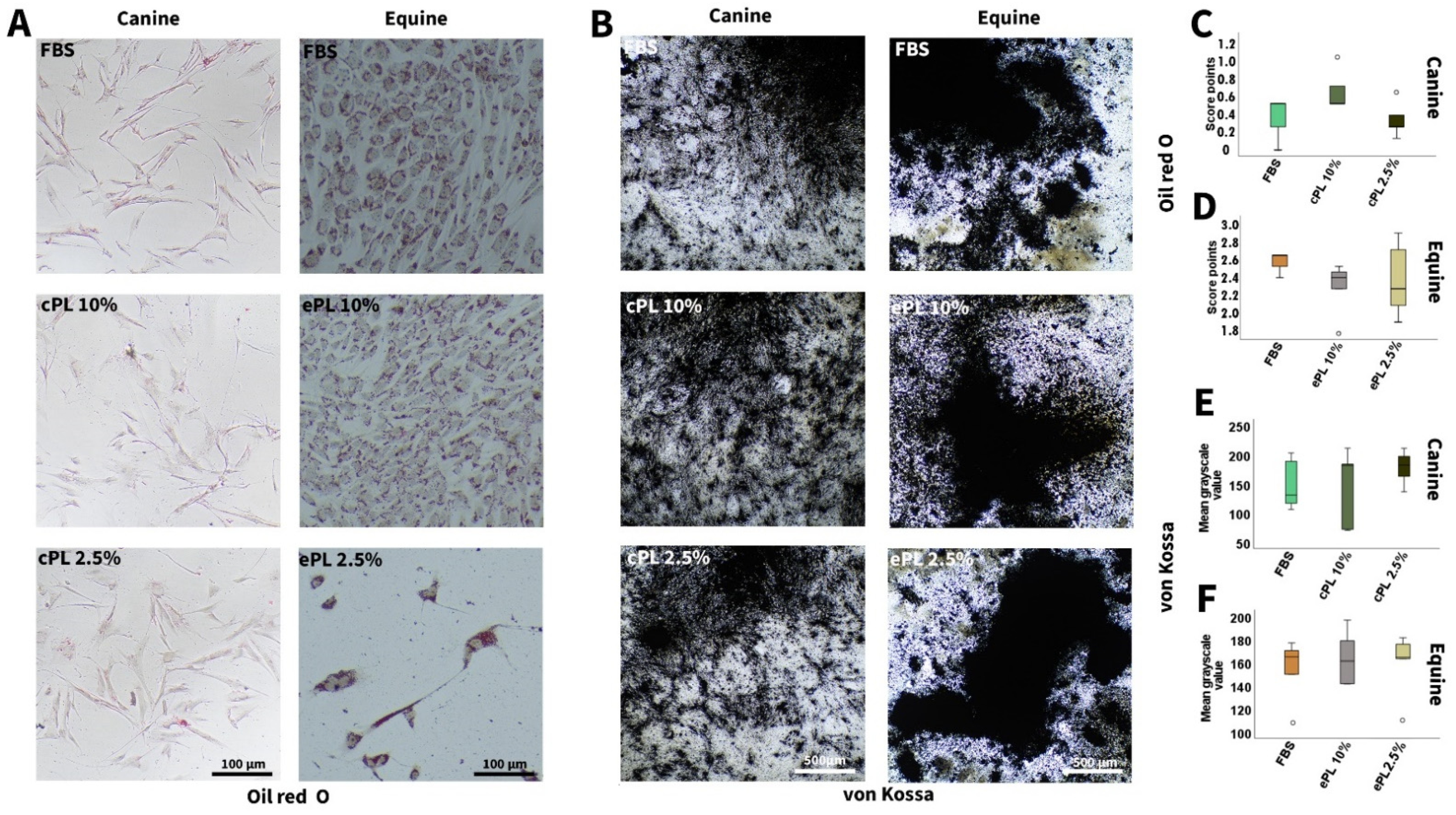 Animals 12 00189 g005