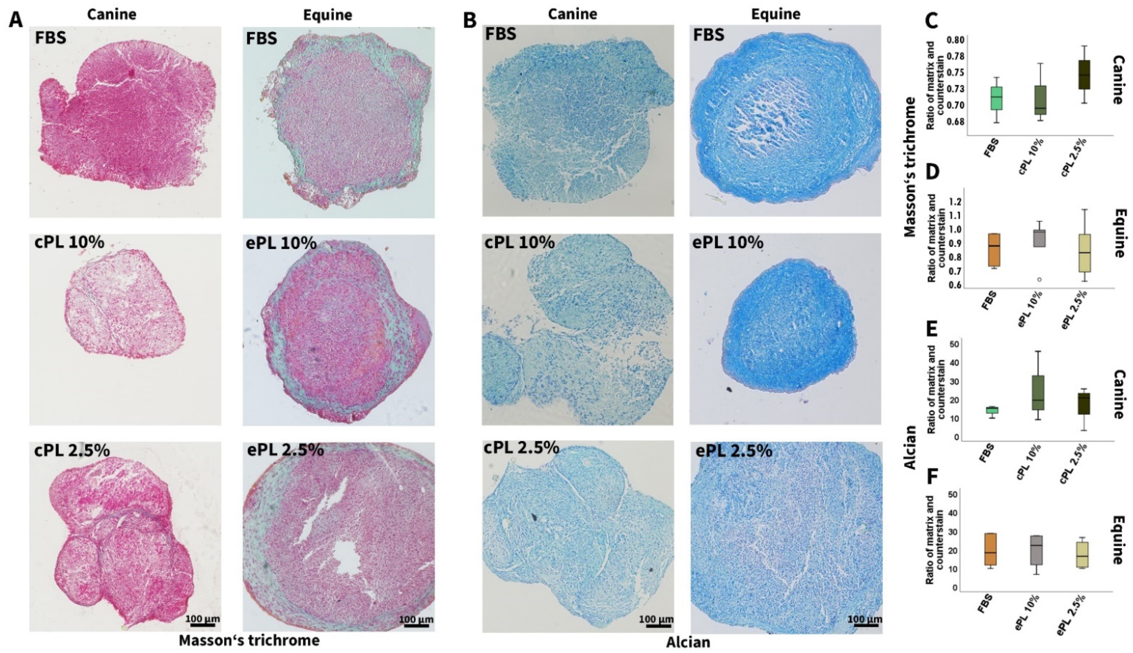 Animals 12 00189 g006