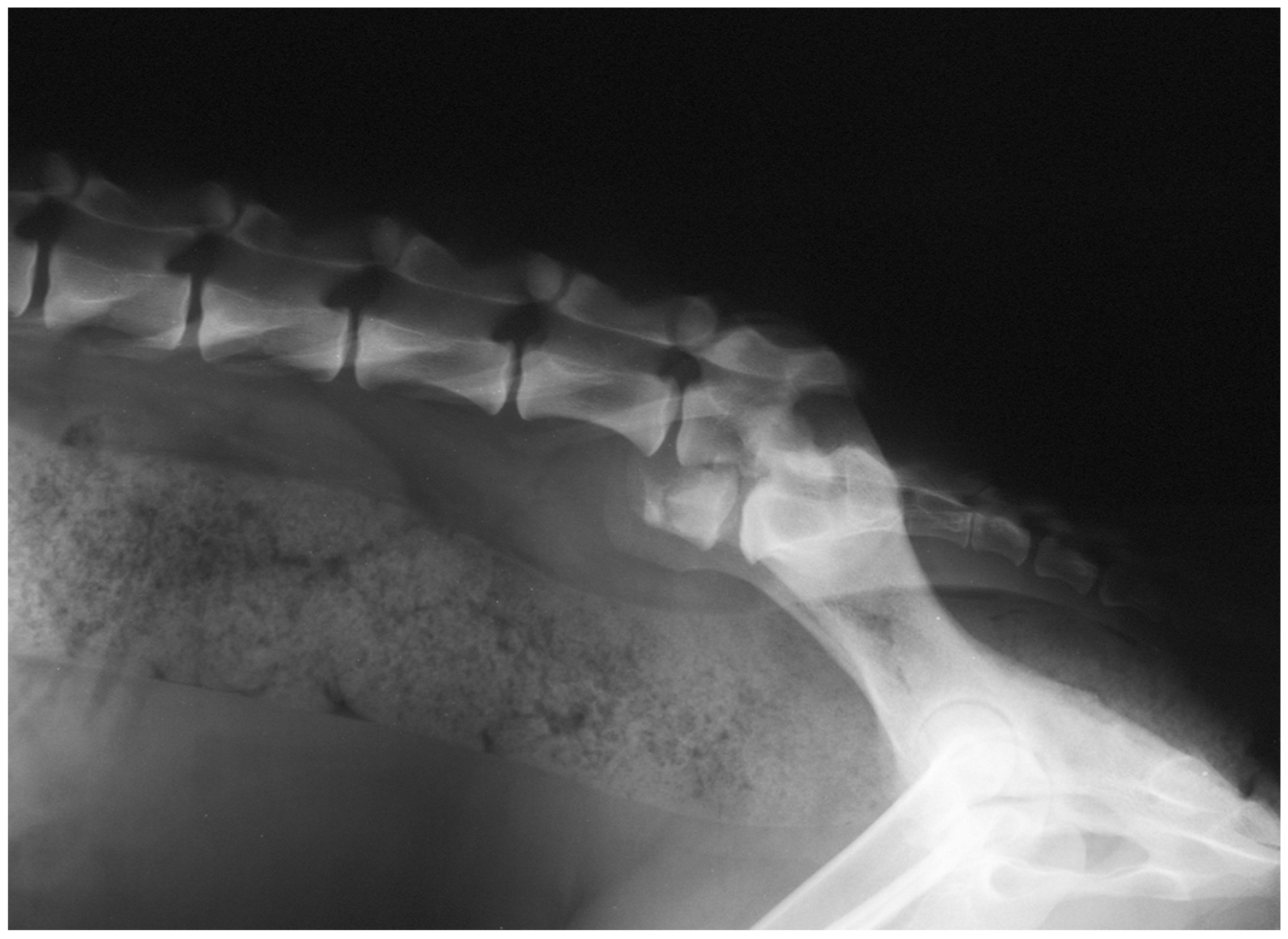 Animals 12 00193 g002 550