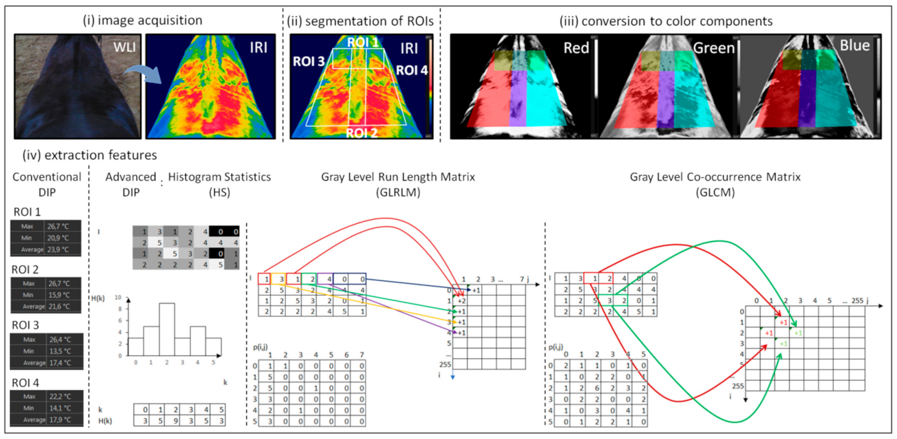 Animals 12 00195 g001