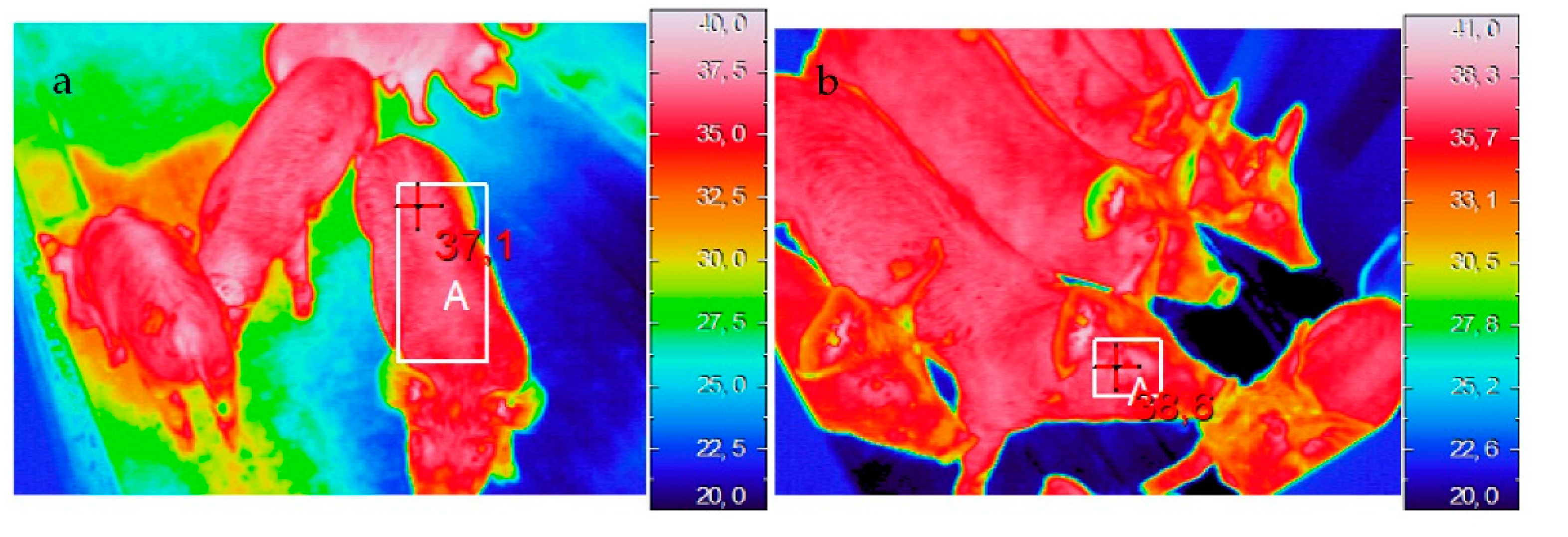 Animals 12 00203 g001a Animals 12 00203 g001a
