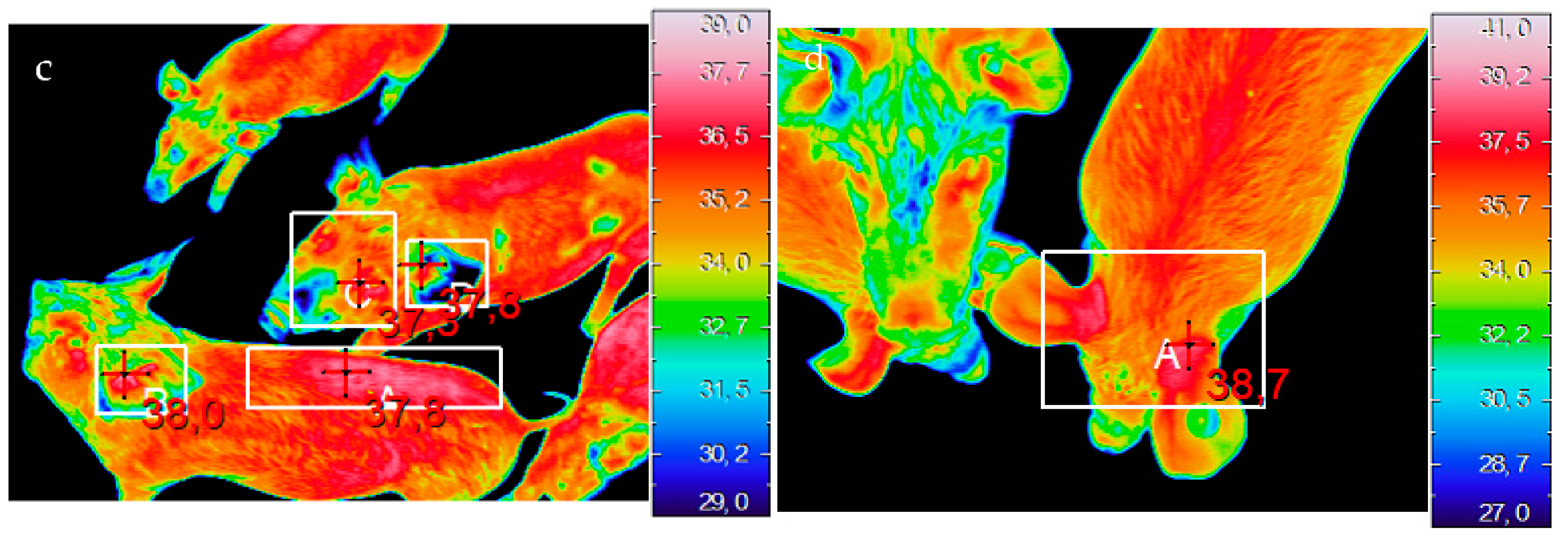 Animals 12 00203 g001b Animals 12 00203 g001b