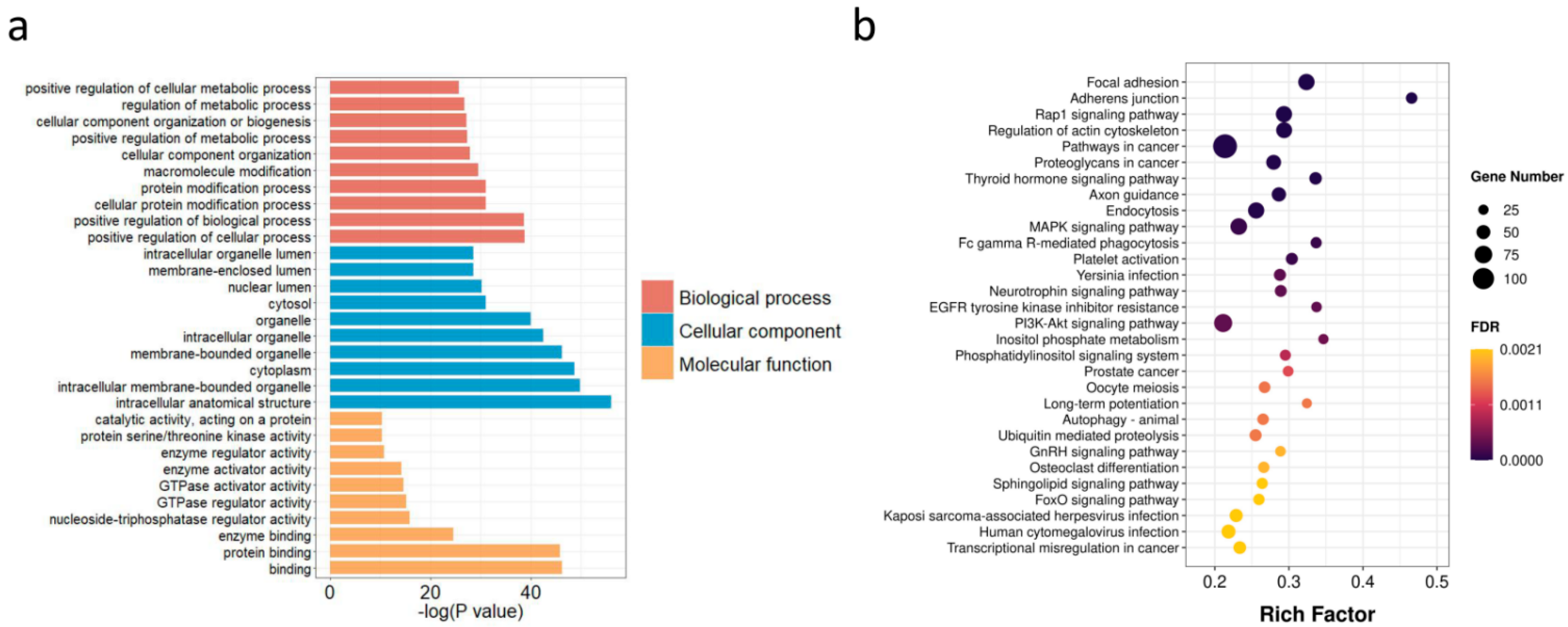 Animals 12 00207 g005