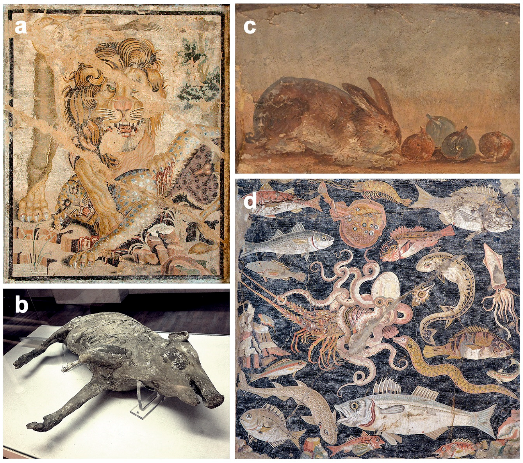 Animals 12 00213 g002 Animals 12 00213 g002