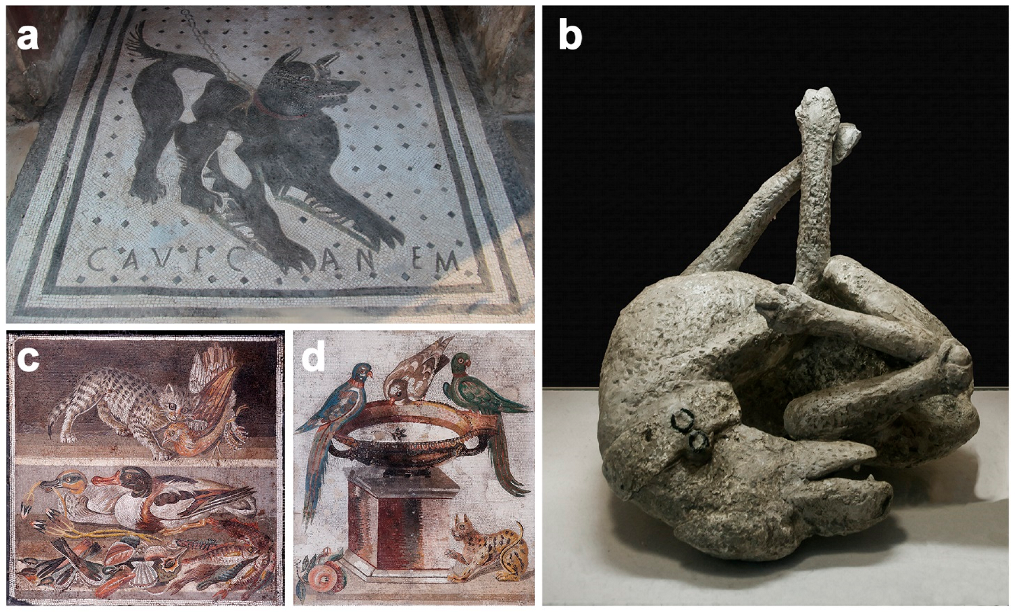 Animals 12 00213 g004 Animals 12 00213 g004