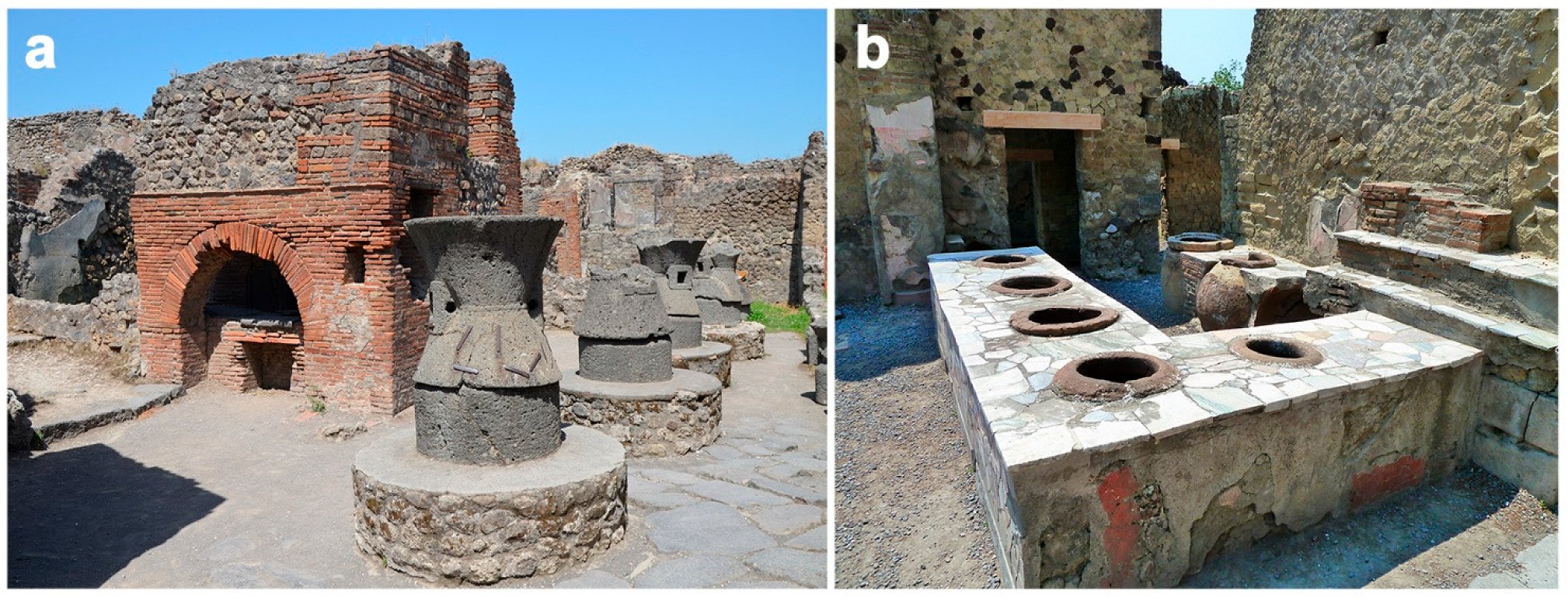 Animals 12 00213 g006 Animals 12 00213 g006