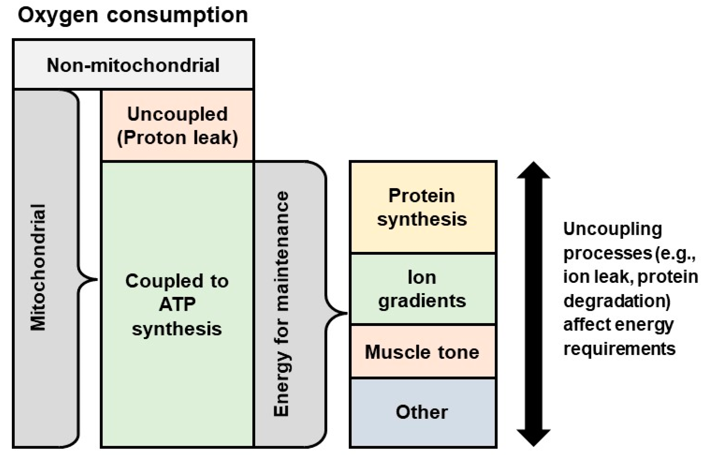 Animals 12 00220 g001