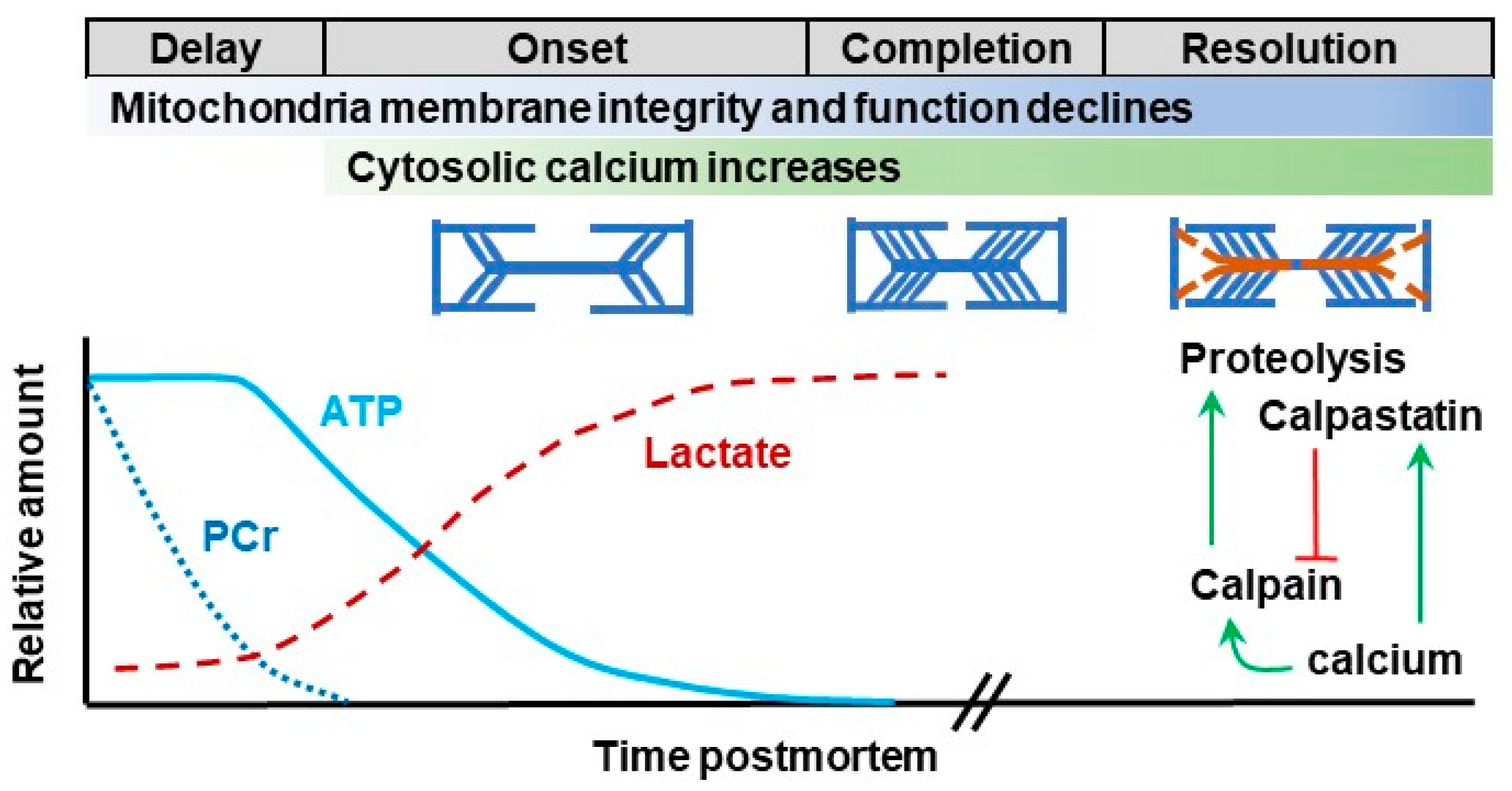 Animals 12 00220 g002