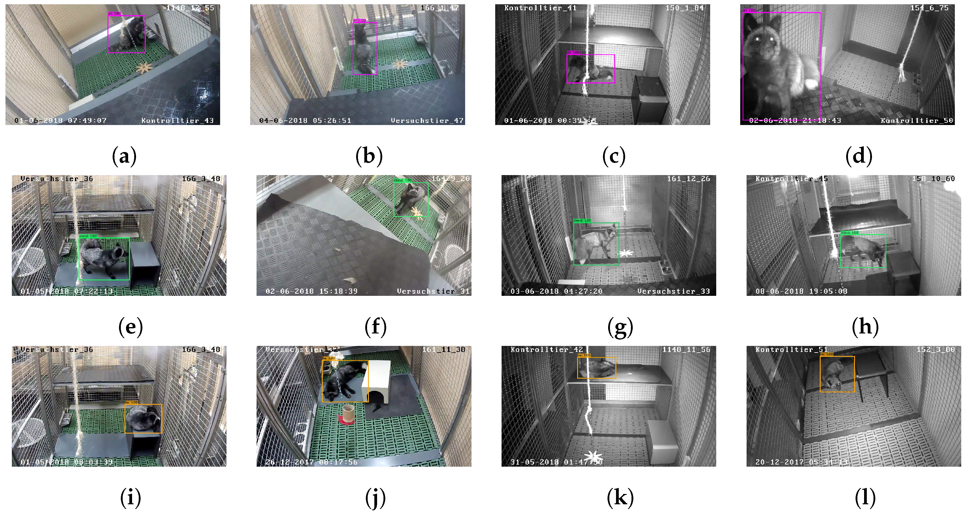 Animals 12 00233 g002 550