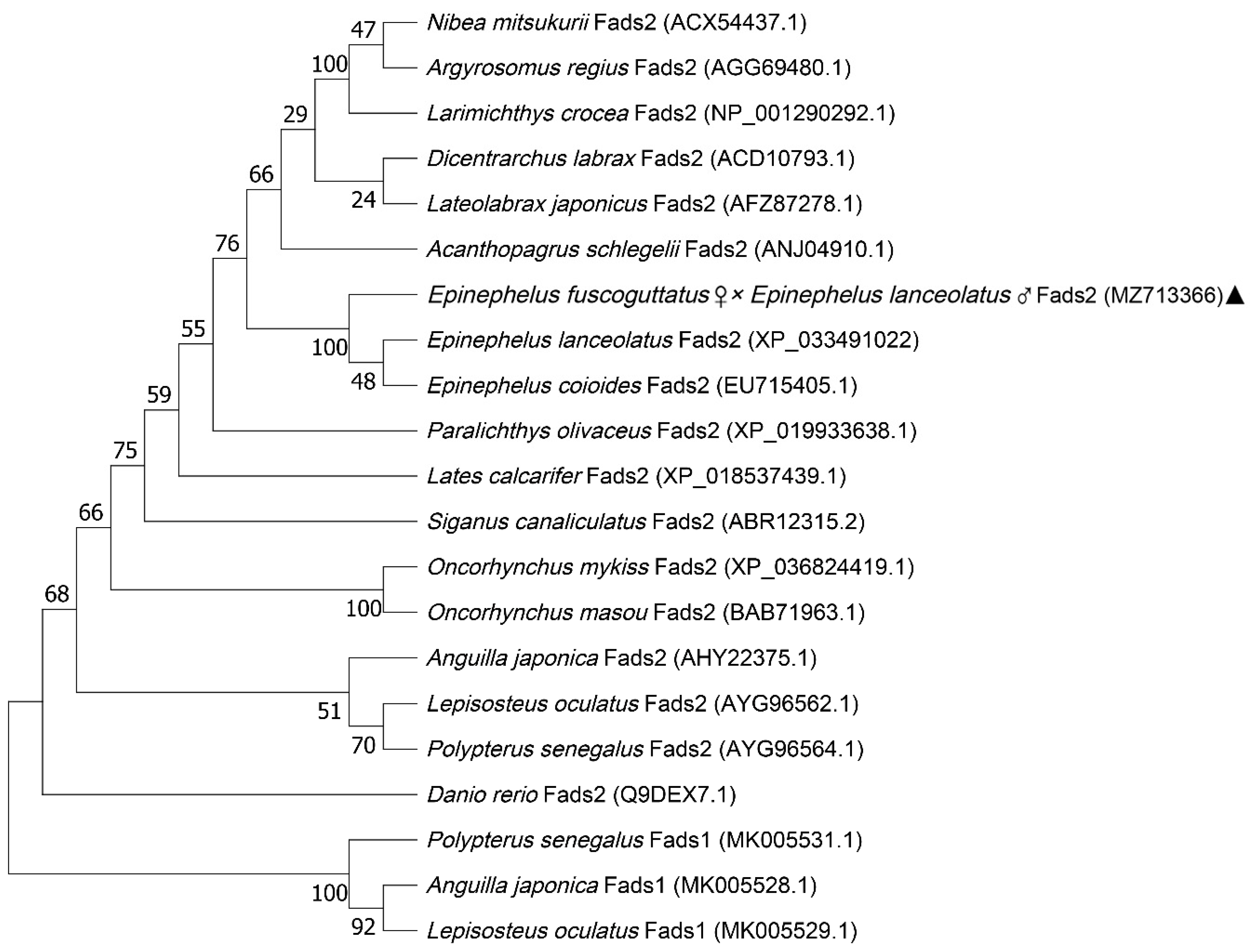 Animals 12 00234 g005 Animals 12 00234 g005