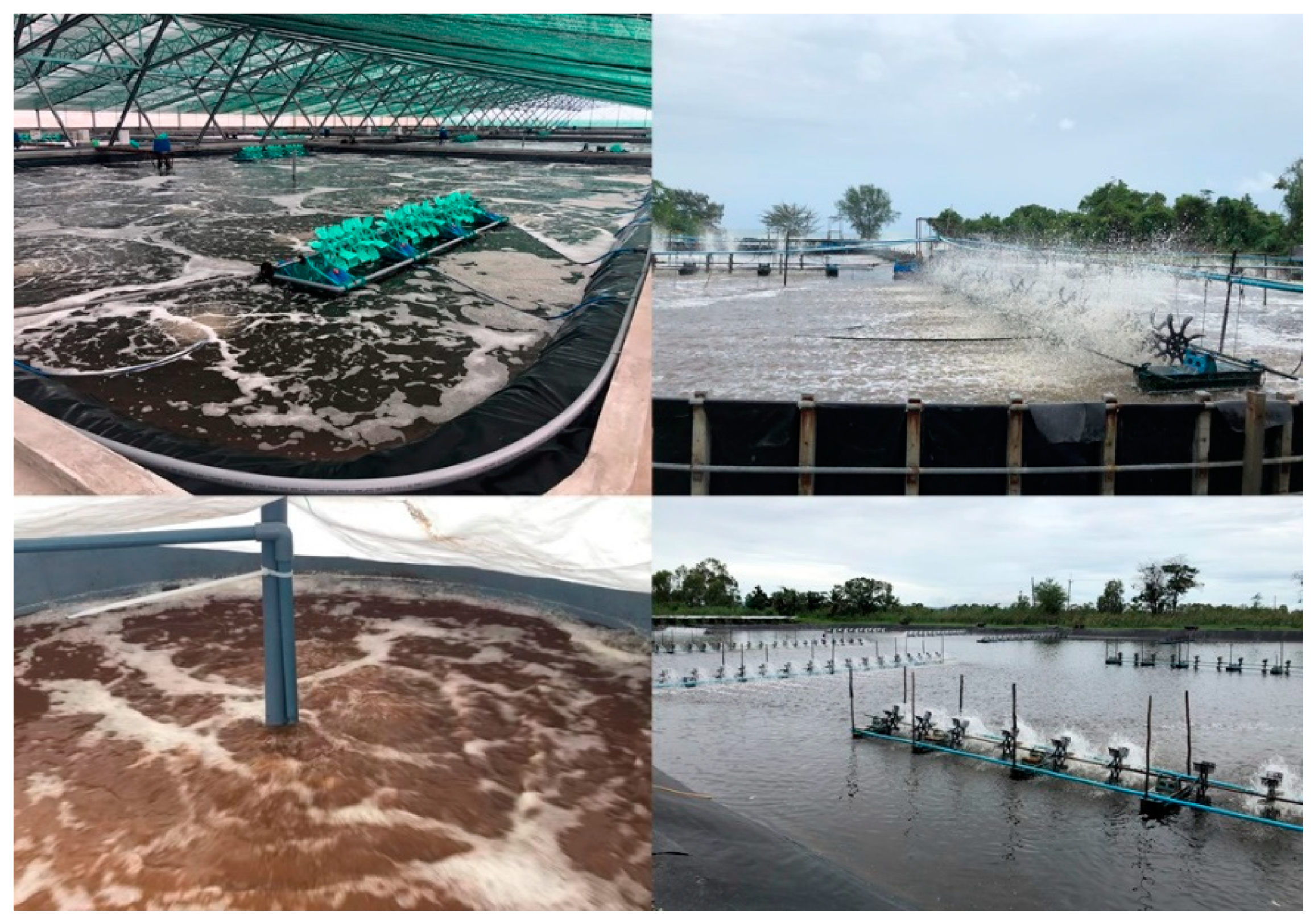 Animals 12 00236 g003 Animals 12 00236 g003