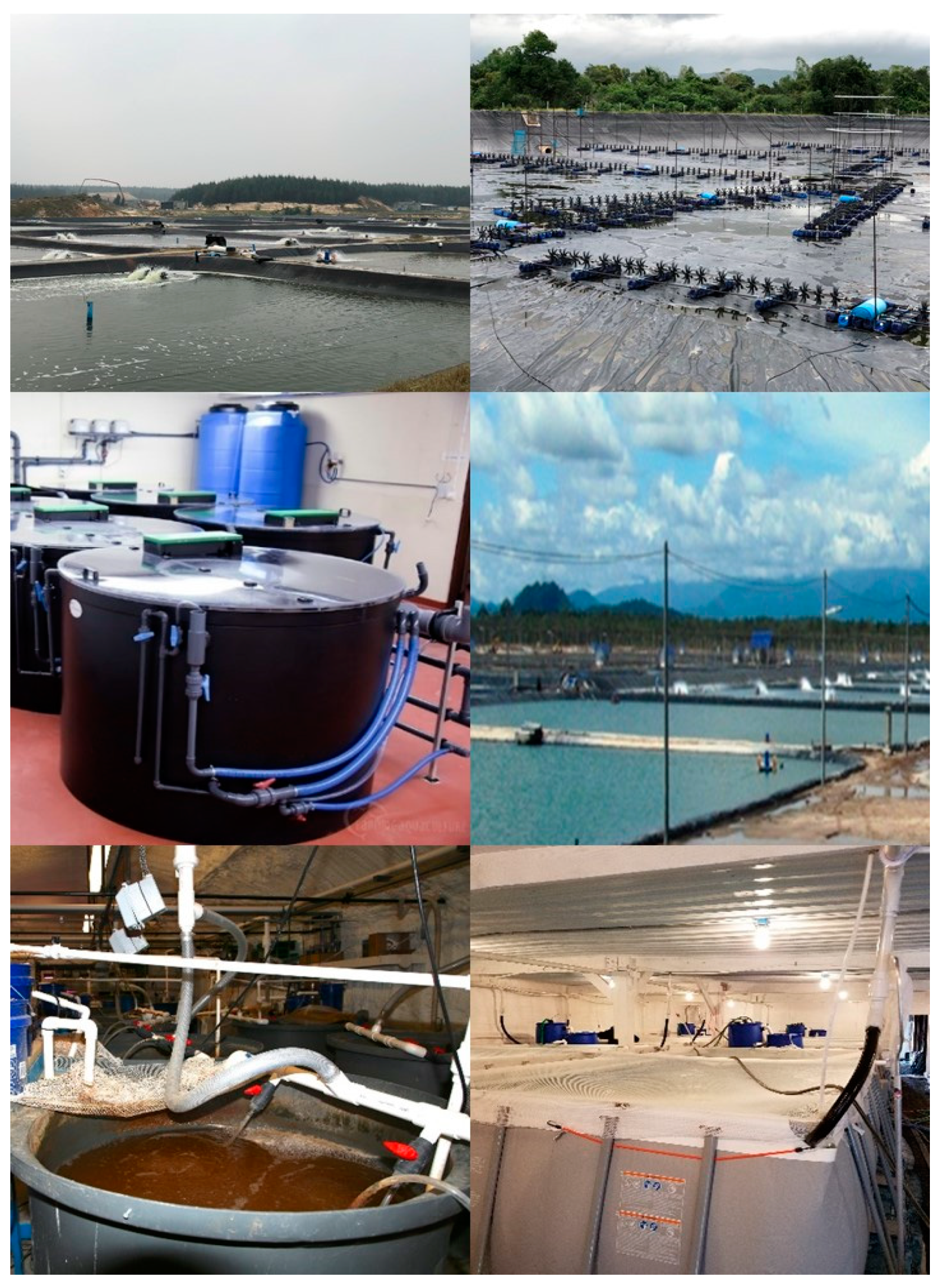 Animals 12 00236 g004 Animals 12 00236 g004