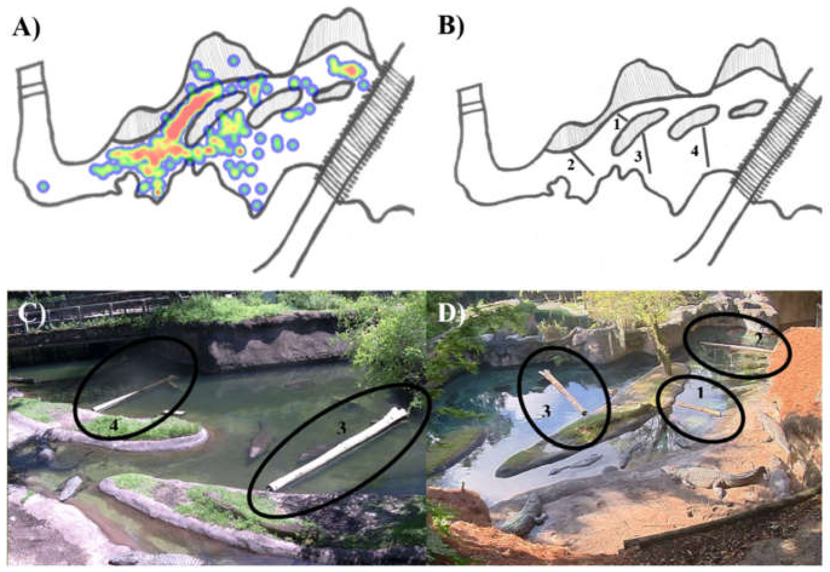Animals 12 00269 g001 Animals 12 00269 g001