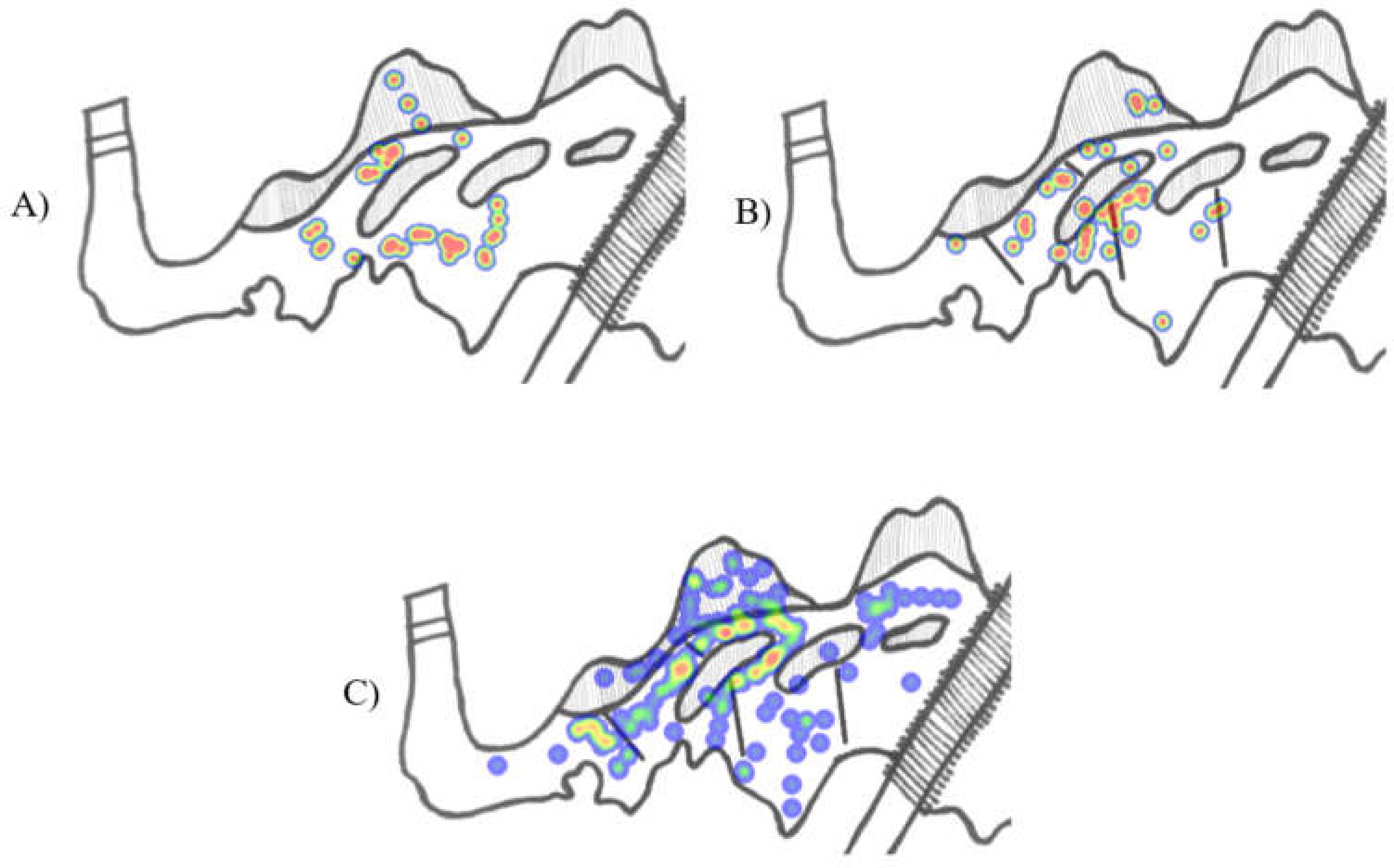 Animals 12 00269 g003 Animals 12 00269 g003