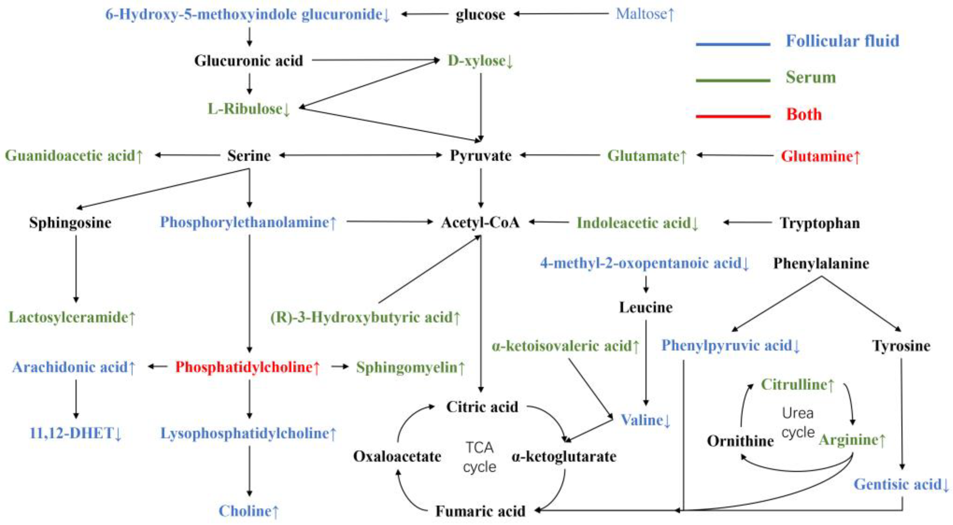 Animals 12 00285 g003