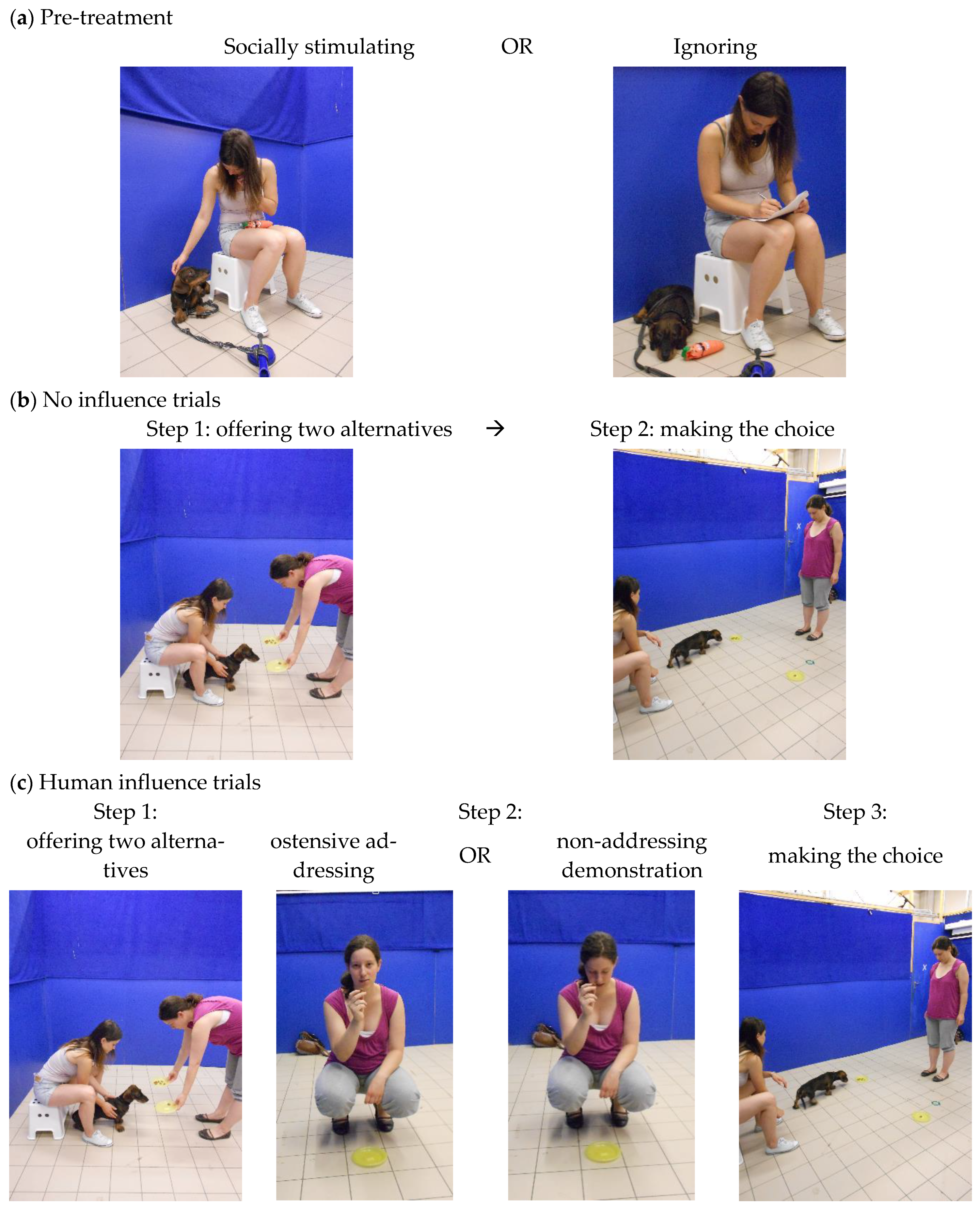 Animals 12 00296 g001