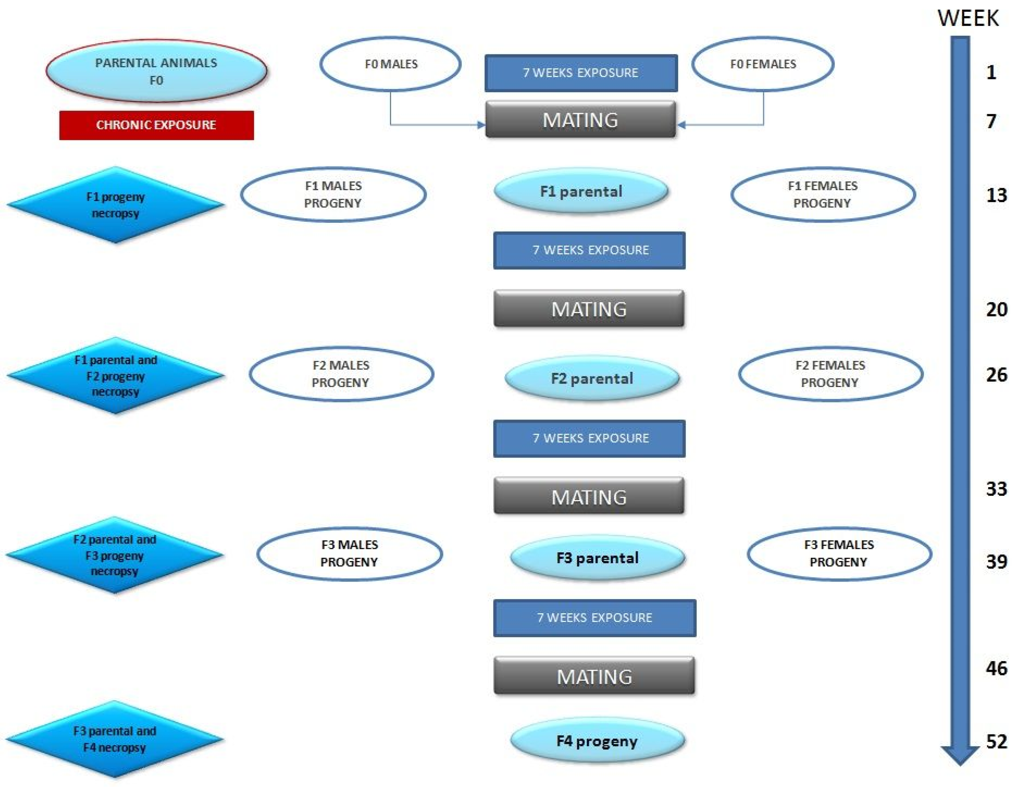 Animals 12 00300 g001