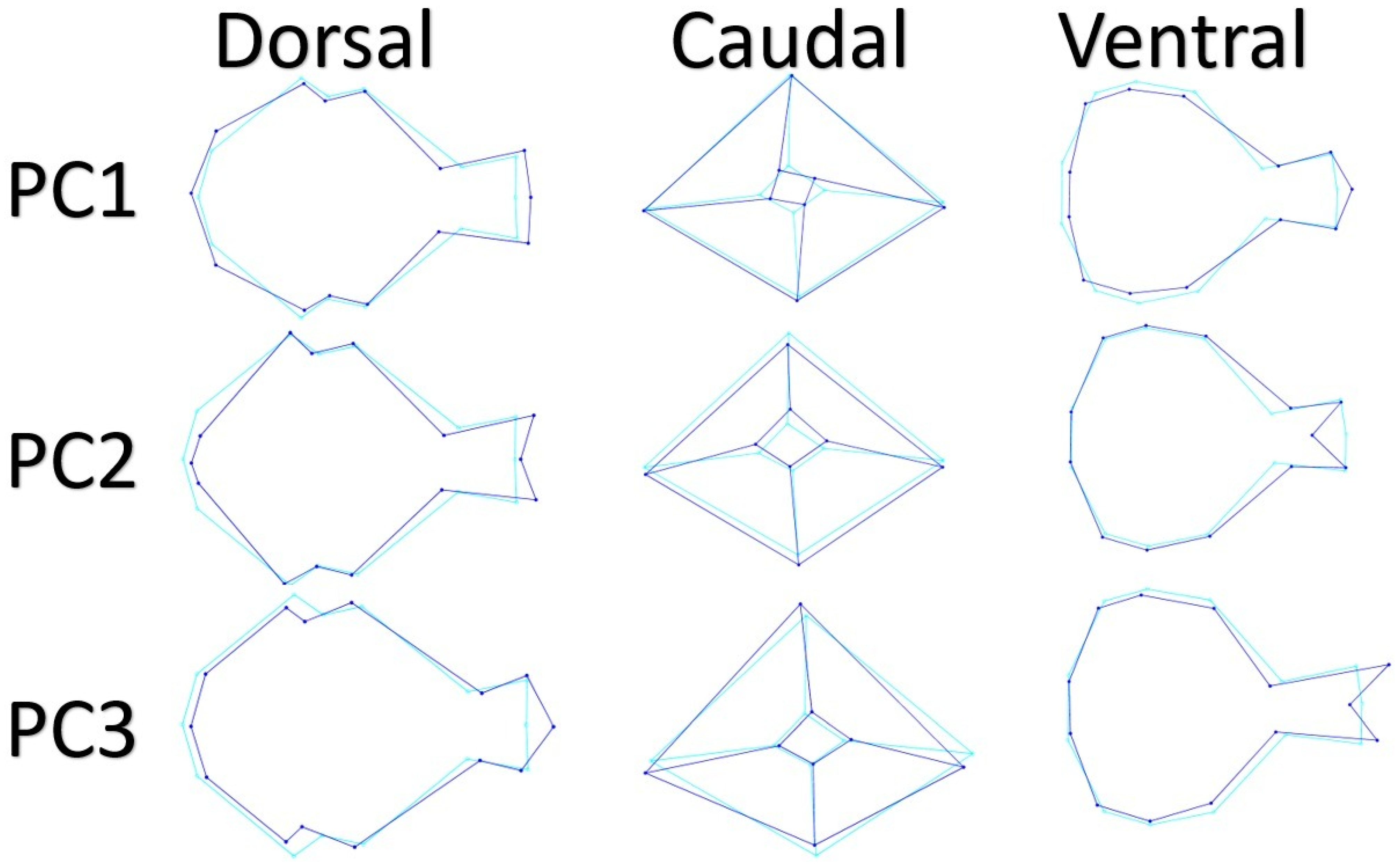 Animals 12 00302 g002 Animals 12 00302 g002