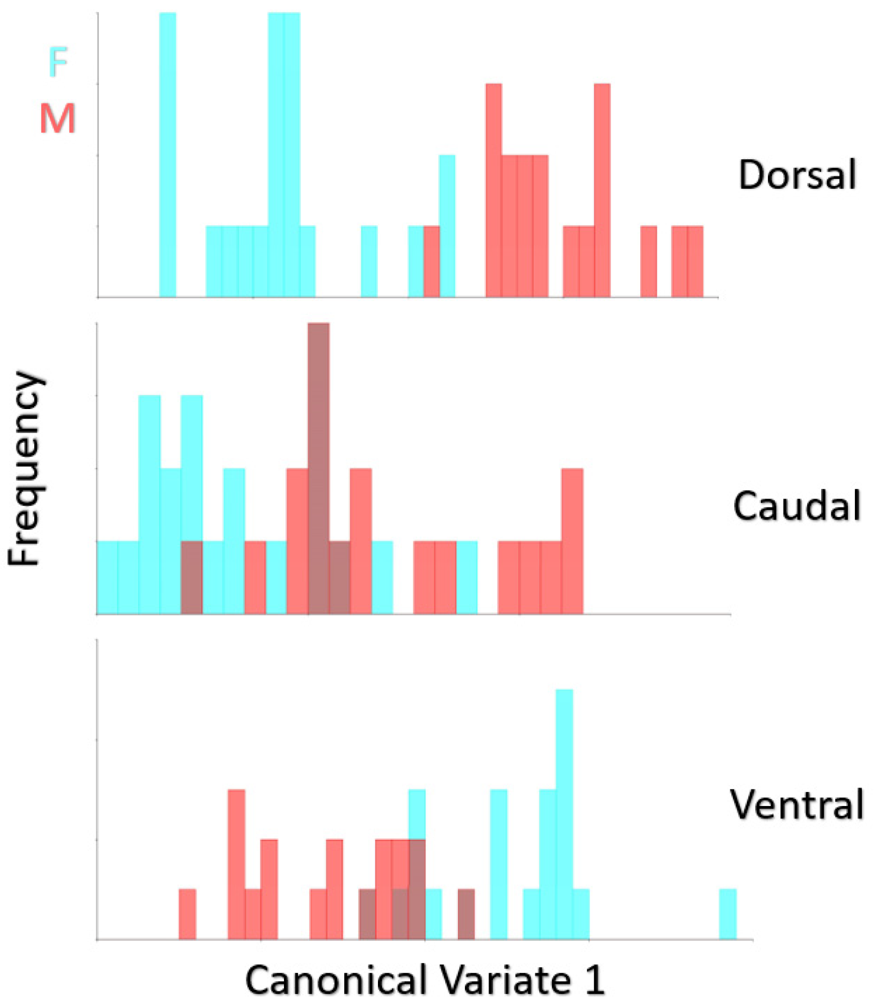 Animals 12 00302 g006 Animals 12 00302 g006