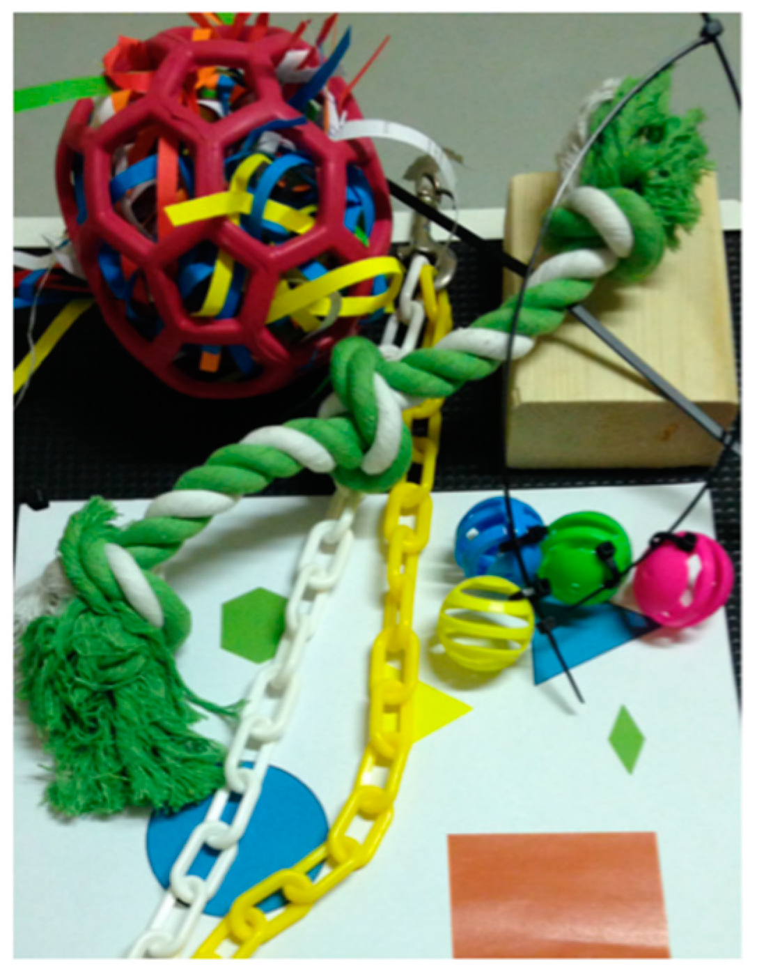 Animals 12 00310 g001 Animals 12 00310 g001