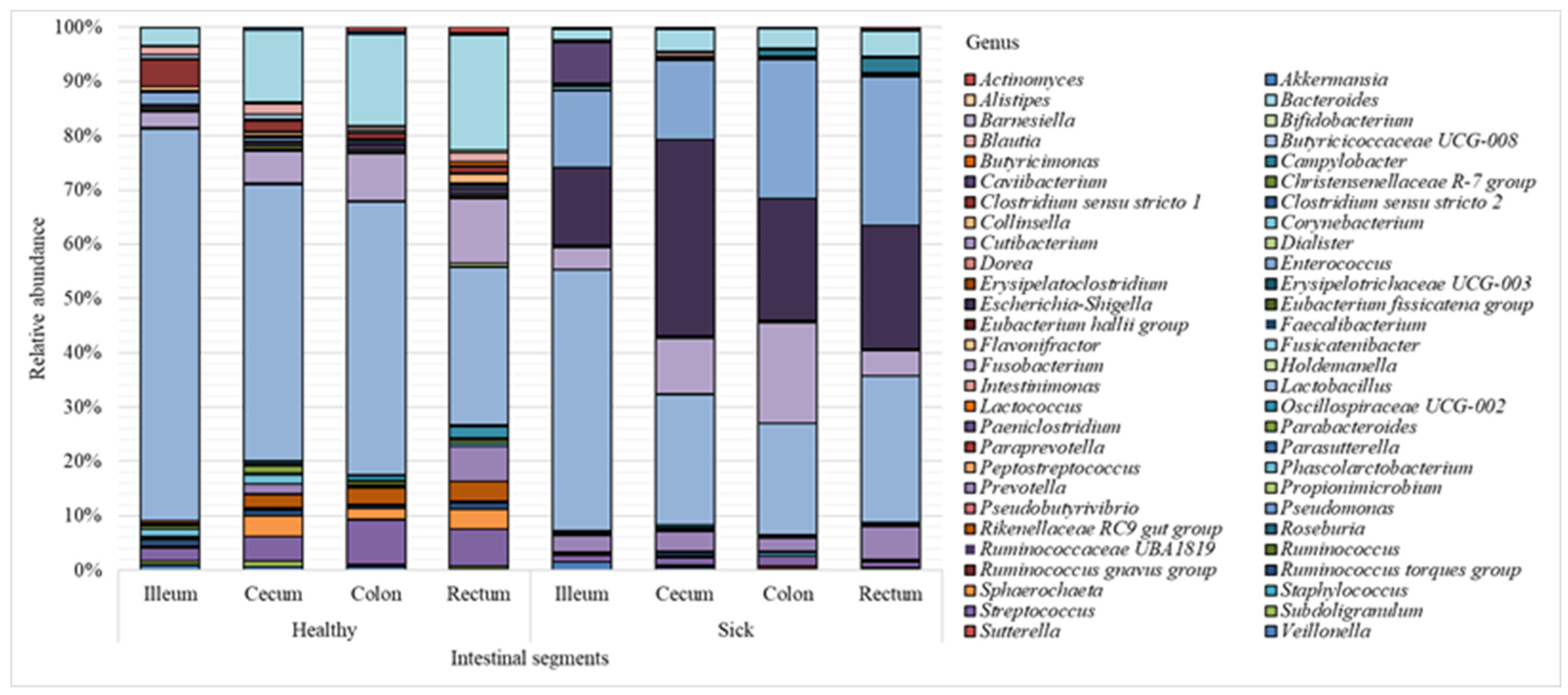 Animals 12 00320 g002