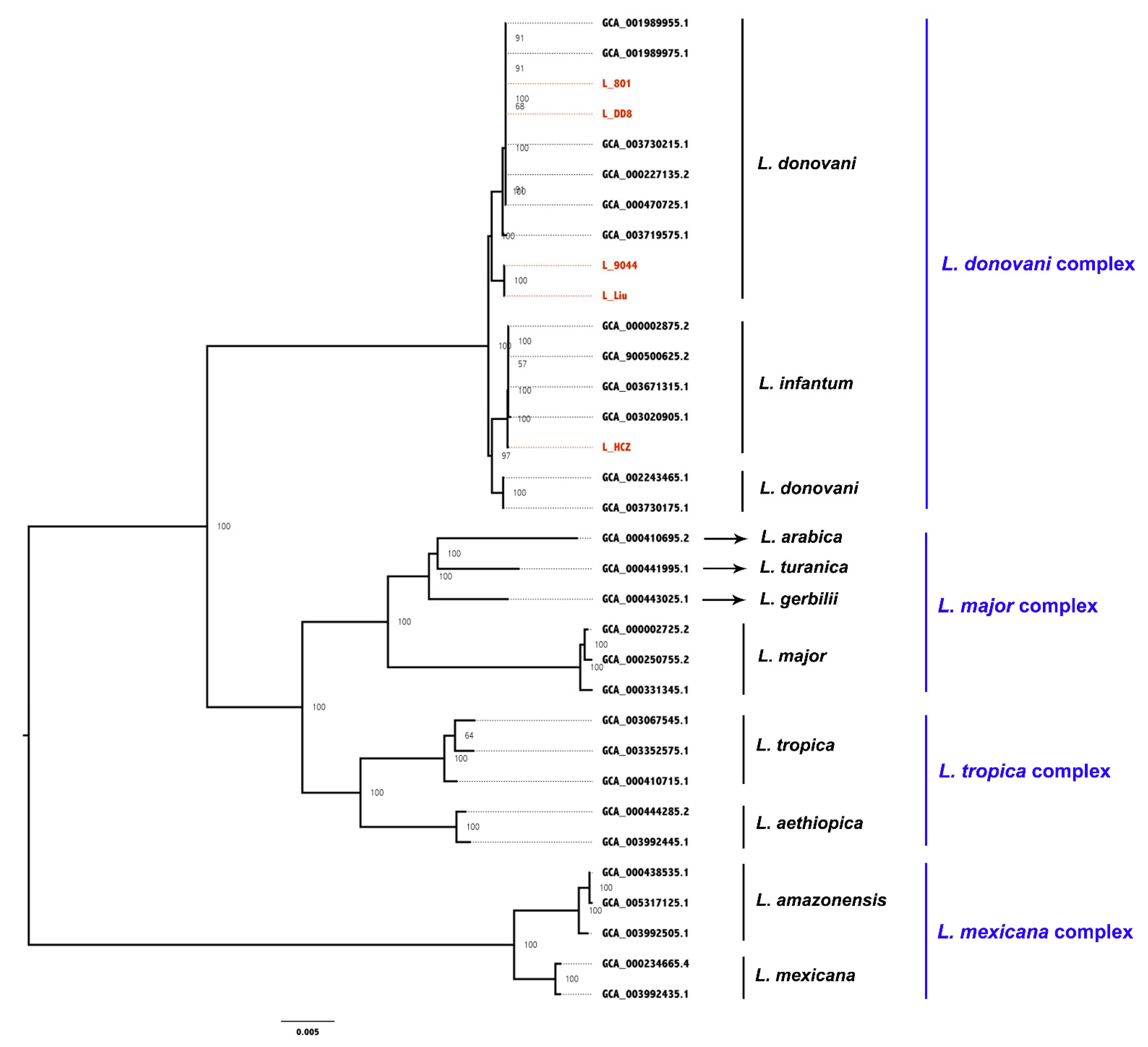 Animals 12 00321 g006