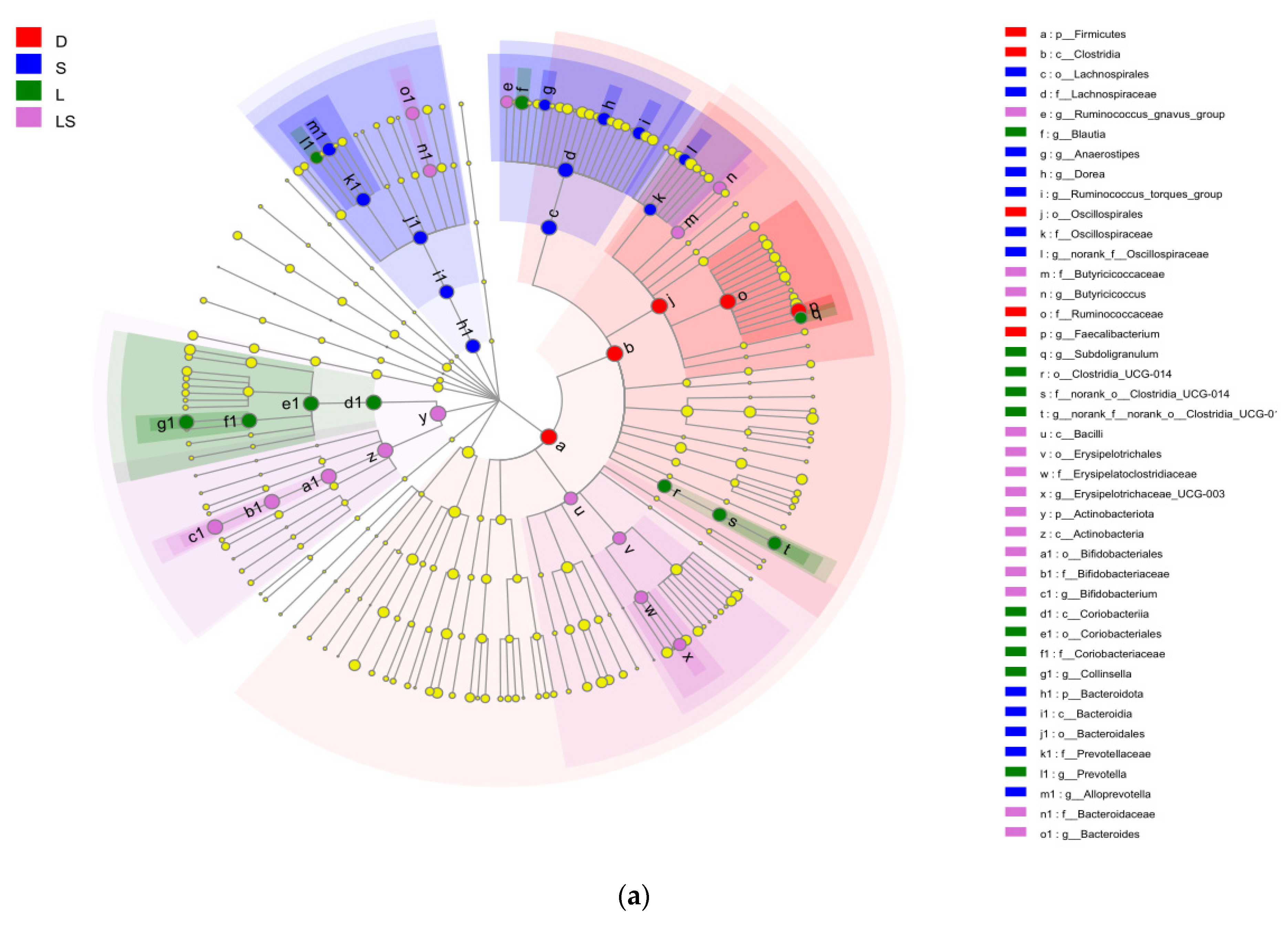 Animals 12 00322 g005a Animals 12 00322 g005a