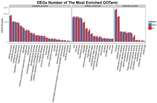 RNA-Seq Analysis of the Key Long Noncoding RNAs and mRNAs Related
