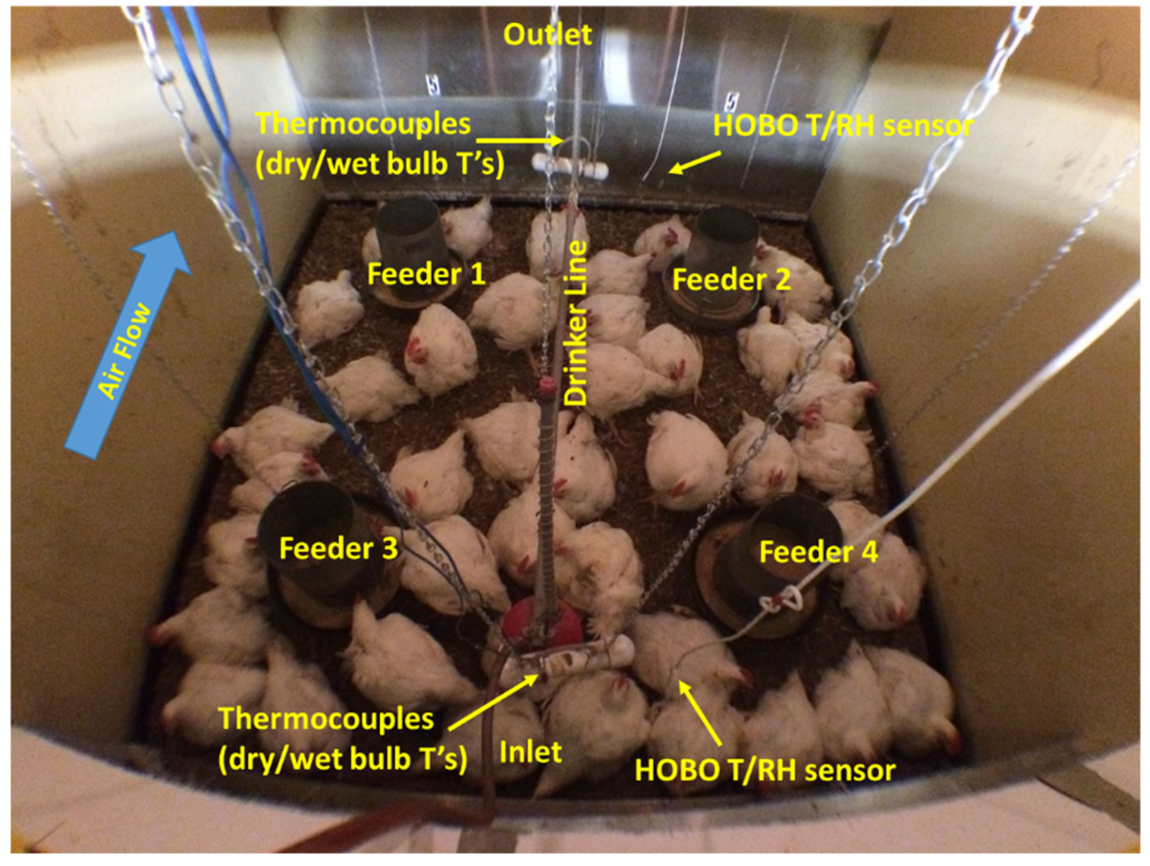 Animals 12 00328 g001 550