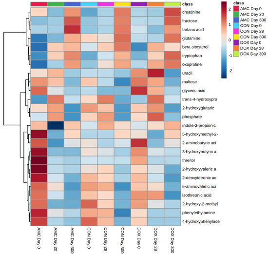 The Serum and Fecal Metabolomic Profiles of Growing Kittens