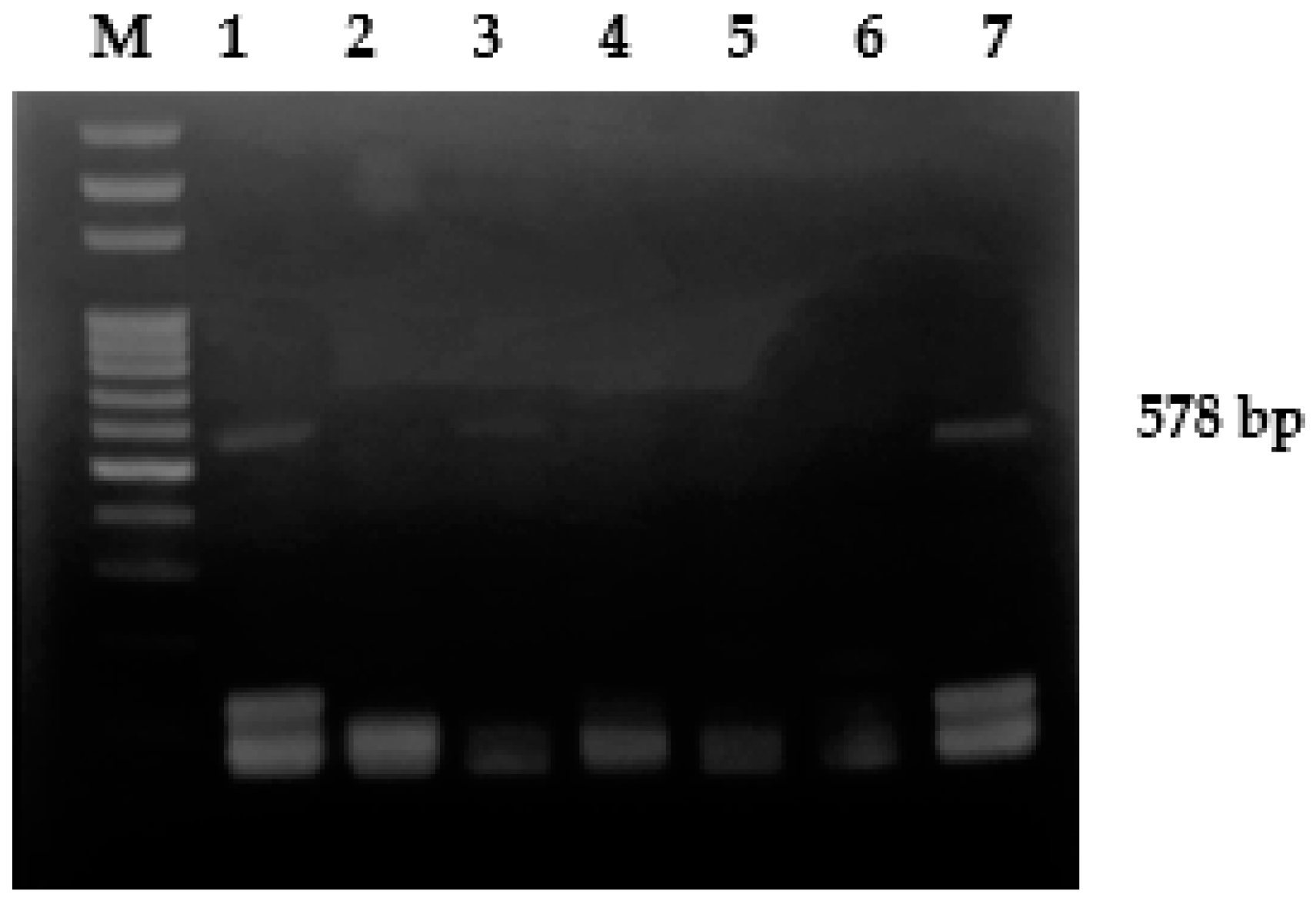 Animals 12 00338 g001