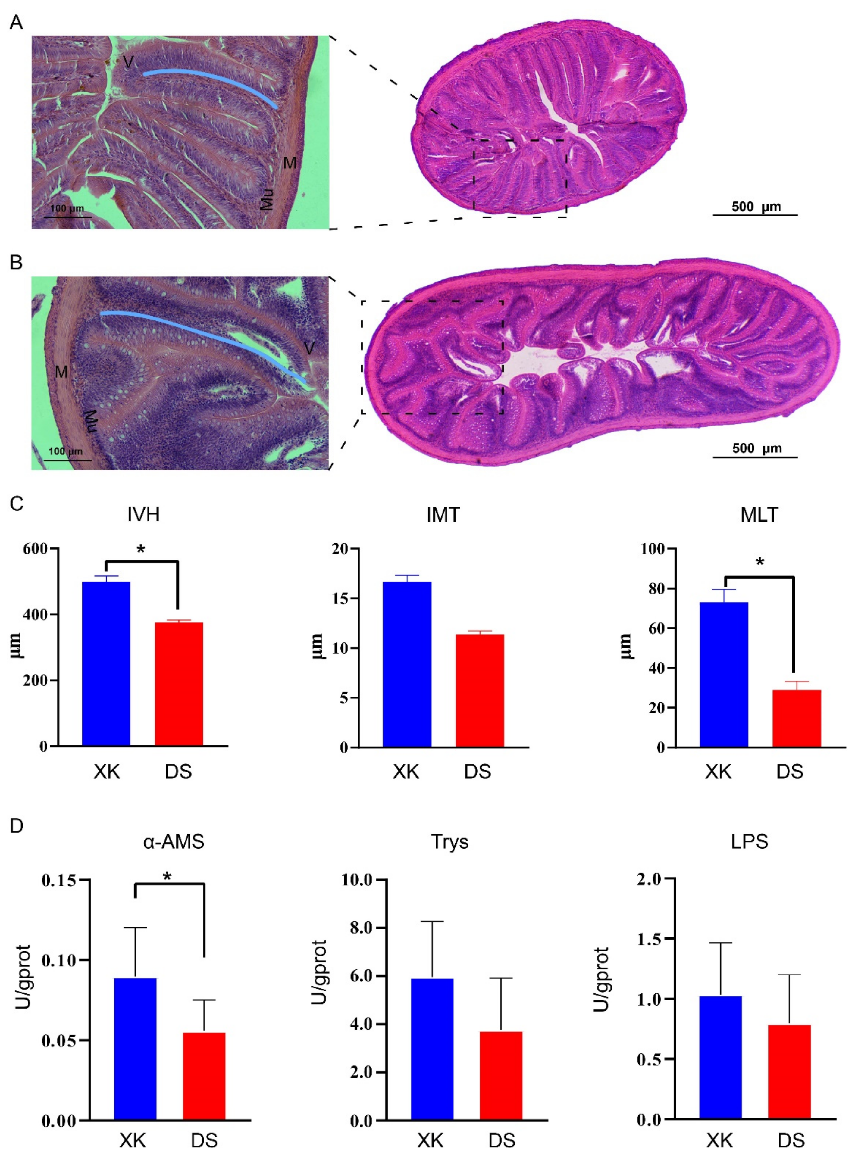 Animals 12 00342 g002 550