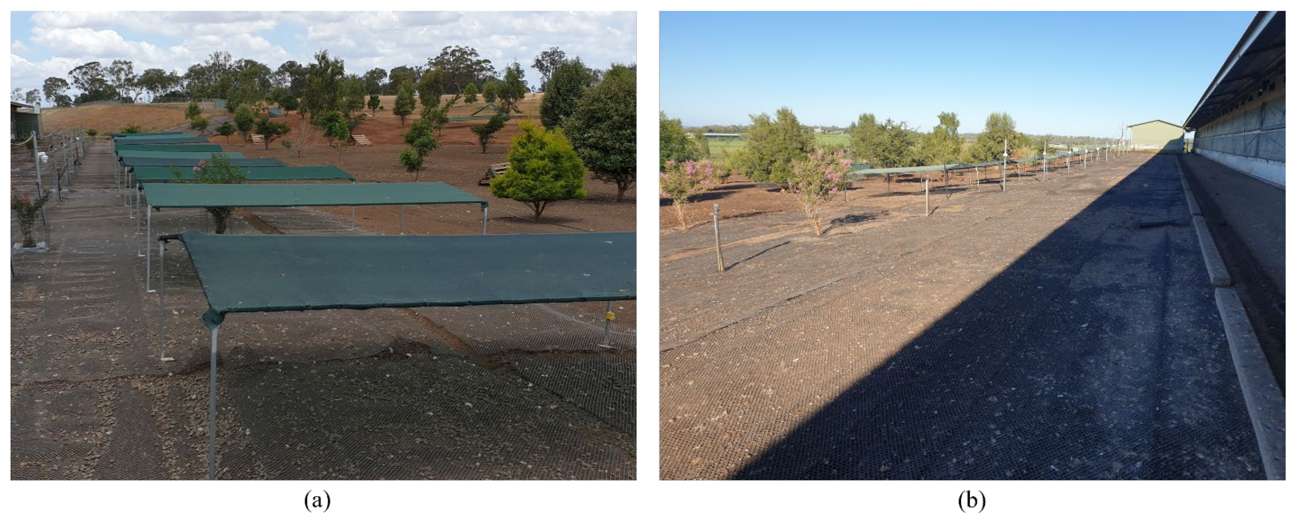 Animals 12 00344 g001 550