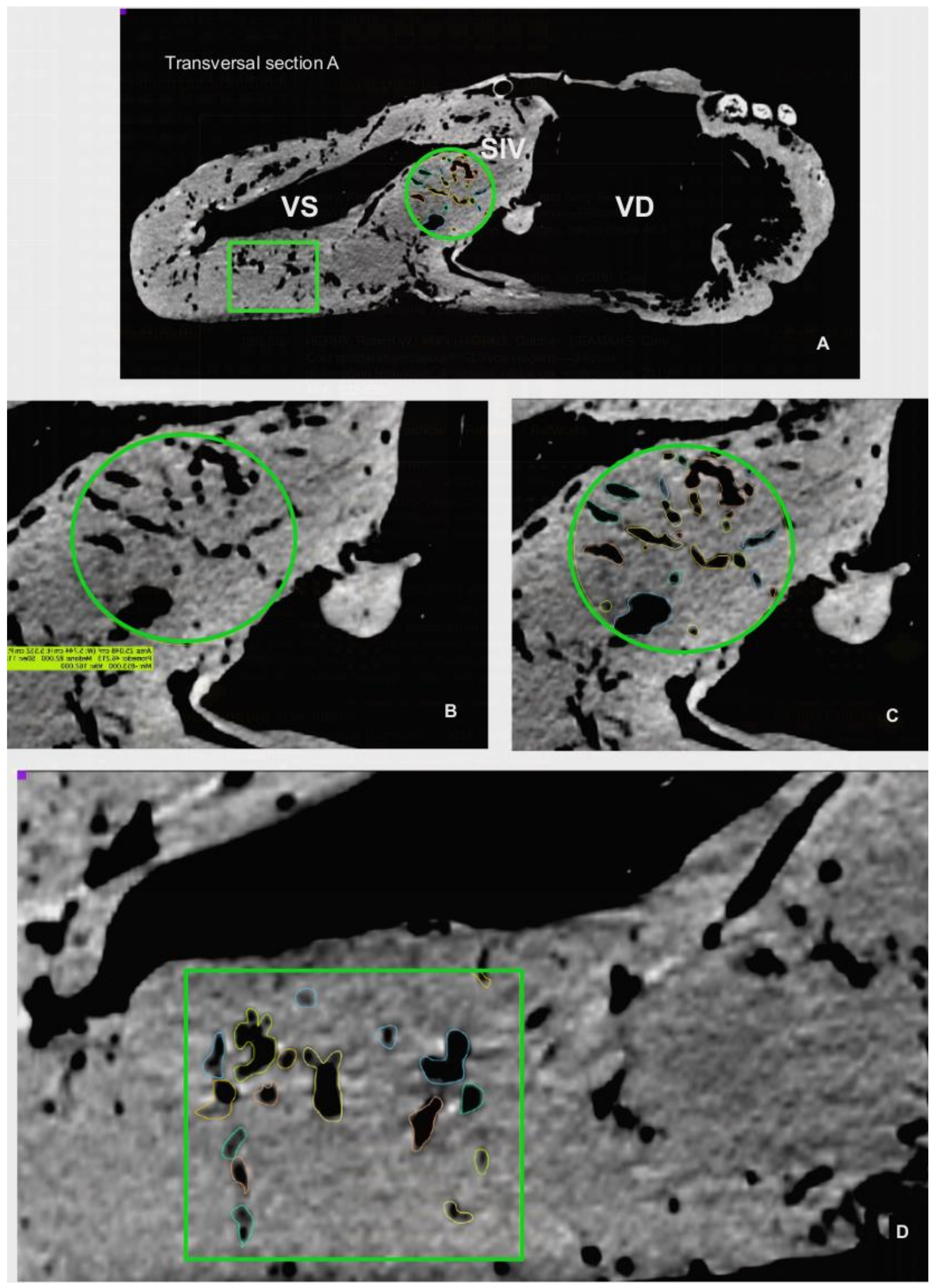 Animals 12 00347 g006