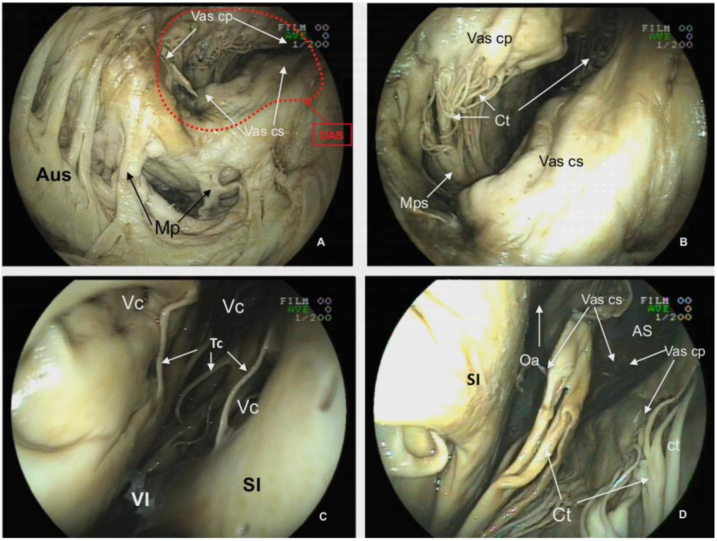 Animals 12 00347 g009