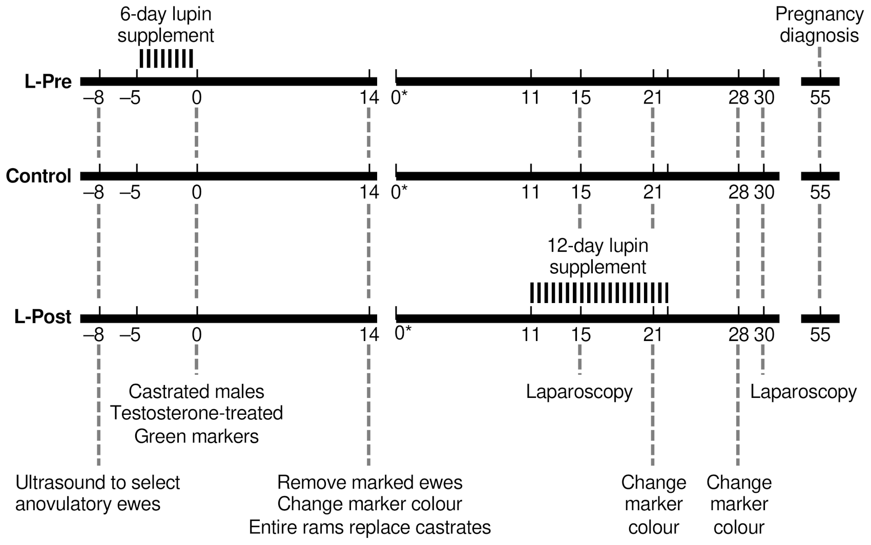 Animals 12 00362 g001 Animals 12 00362 g001