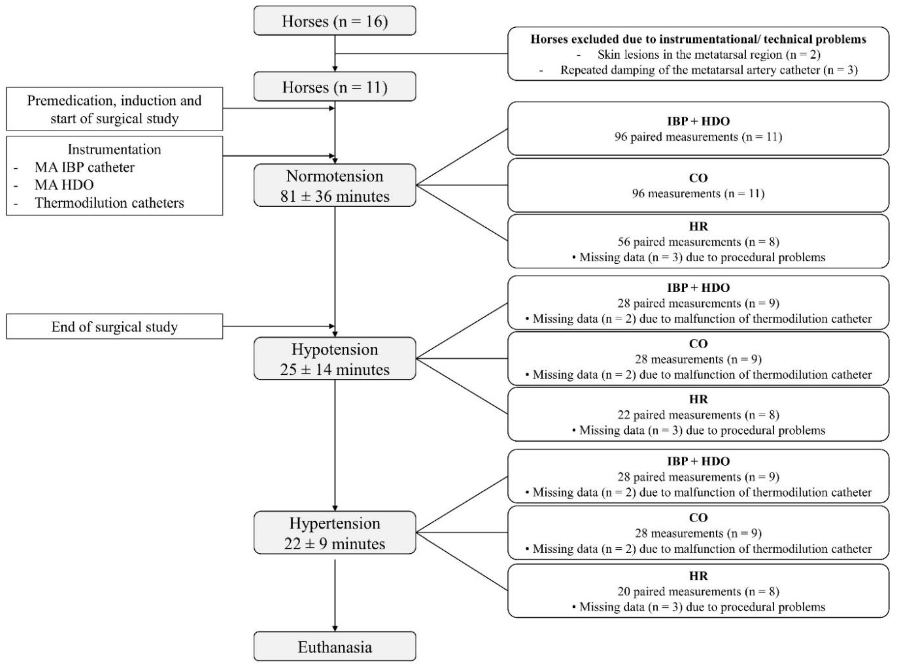 Animals 12 00363 g001 550