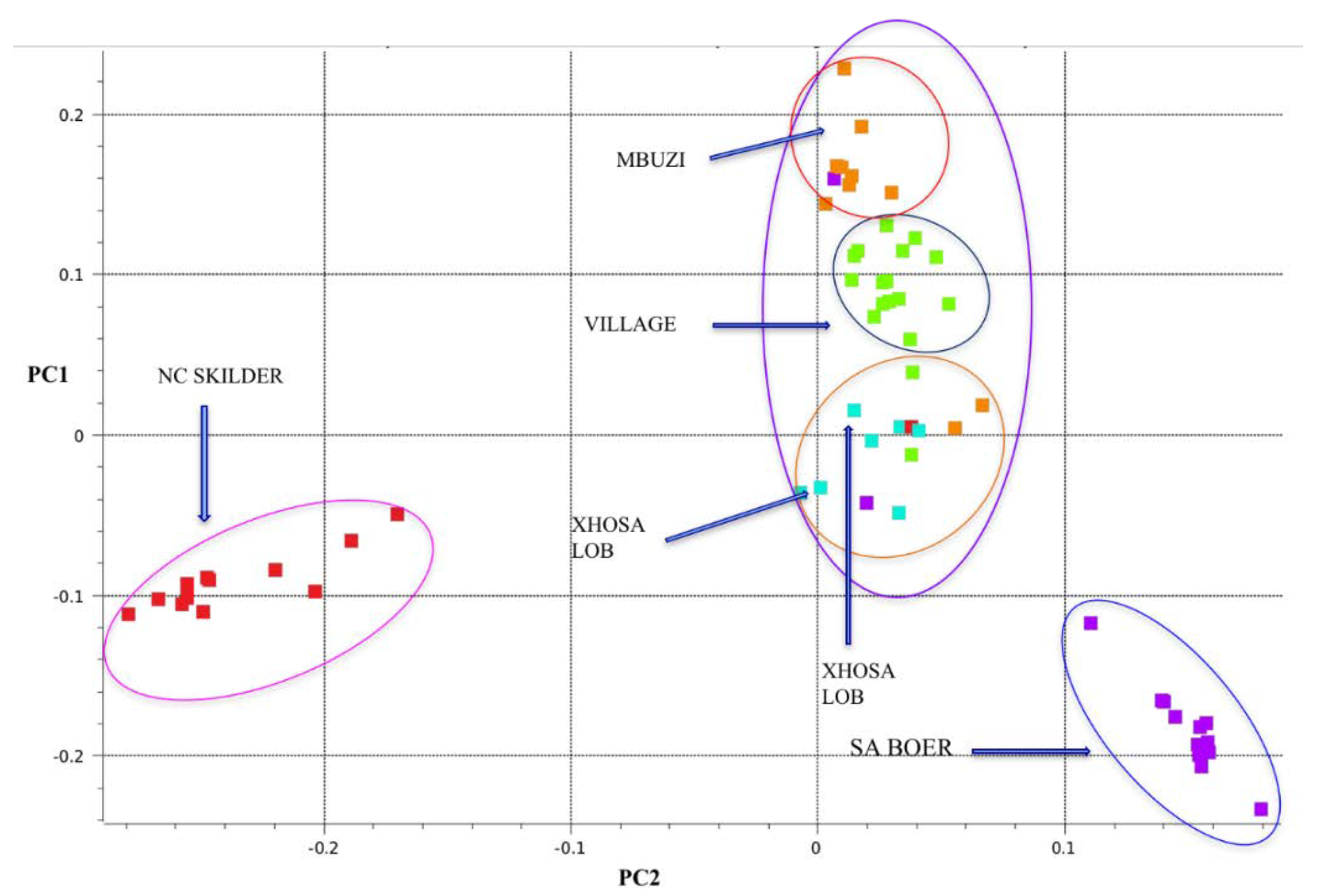 Animals 12 00364 g001