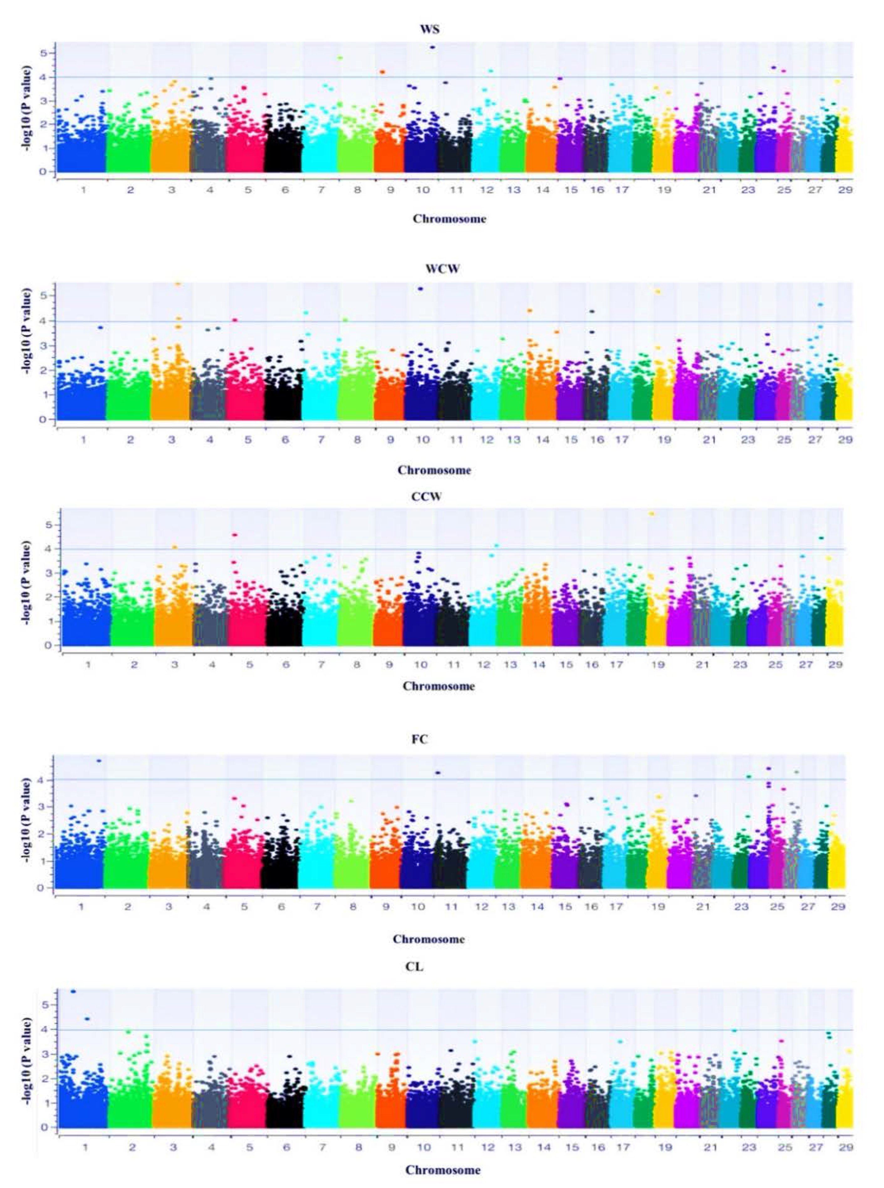 Animals 12 00364 g002