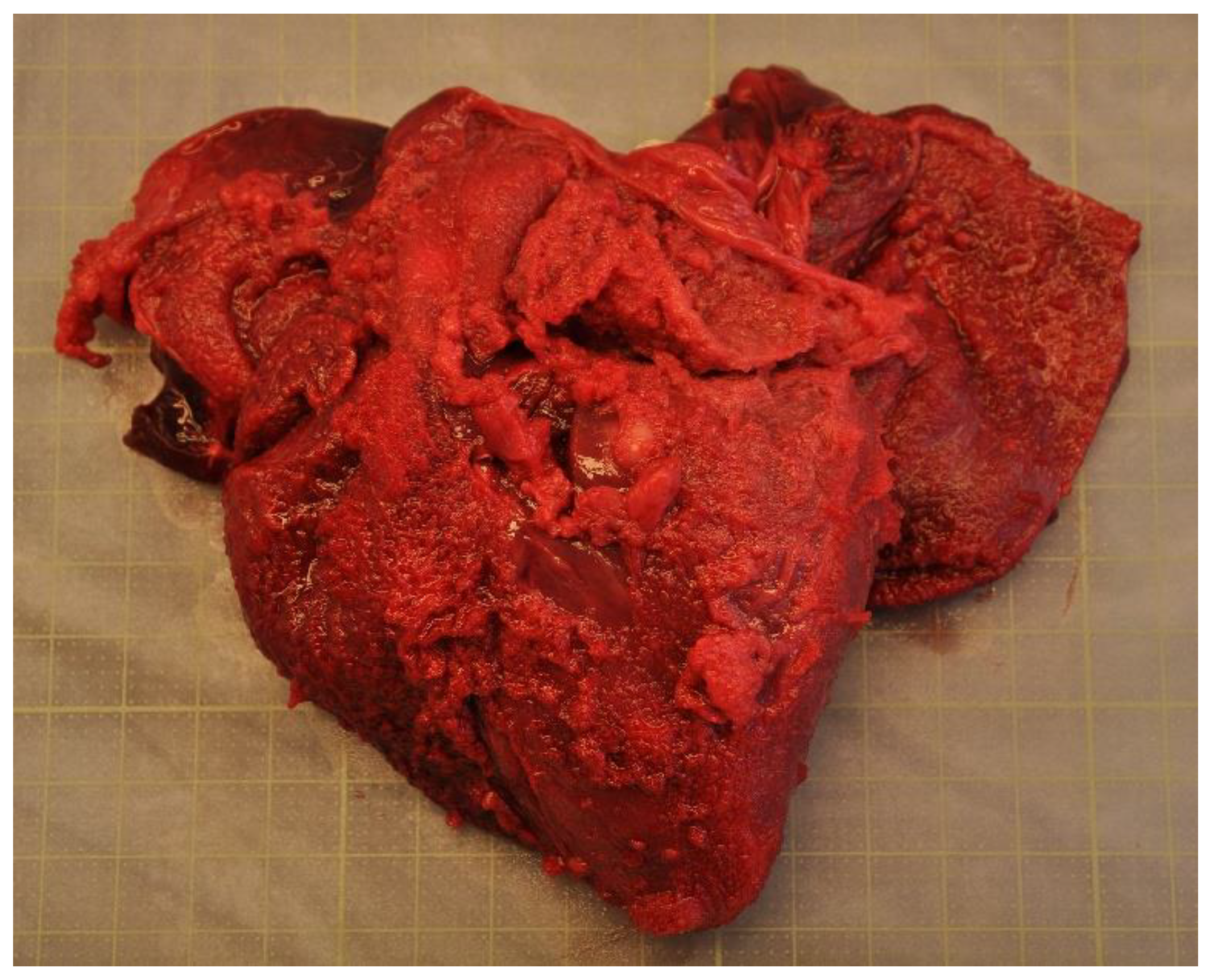 Animals 12 00369 g003