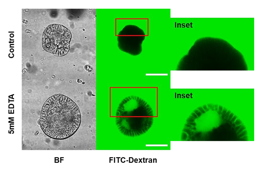 Animals 12 00372 g005 550