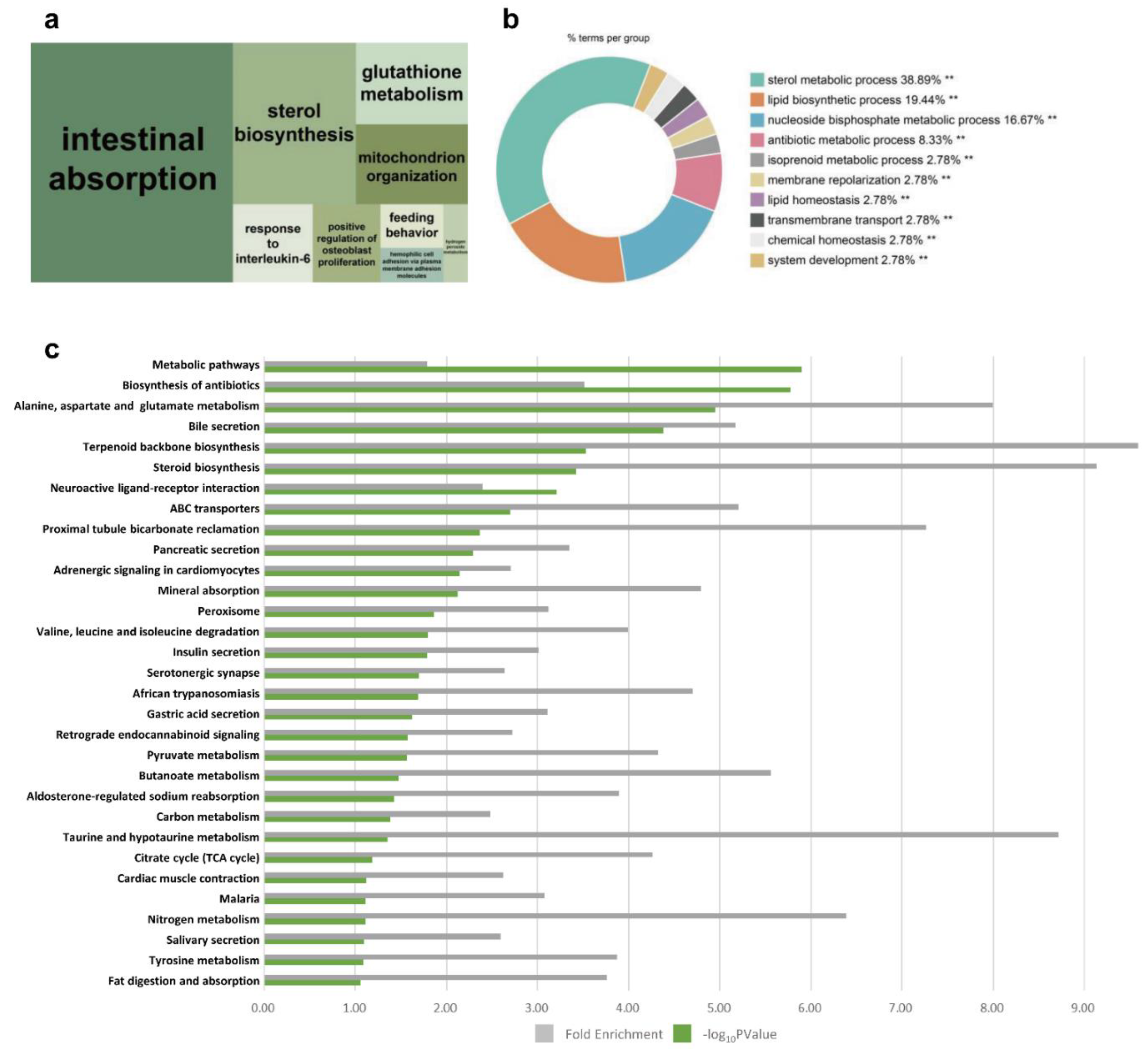 Animals 12 00376 g003