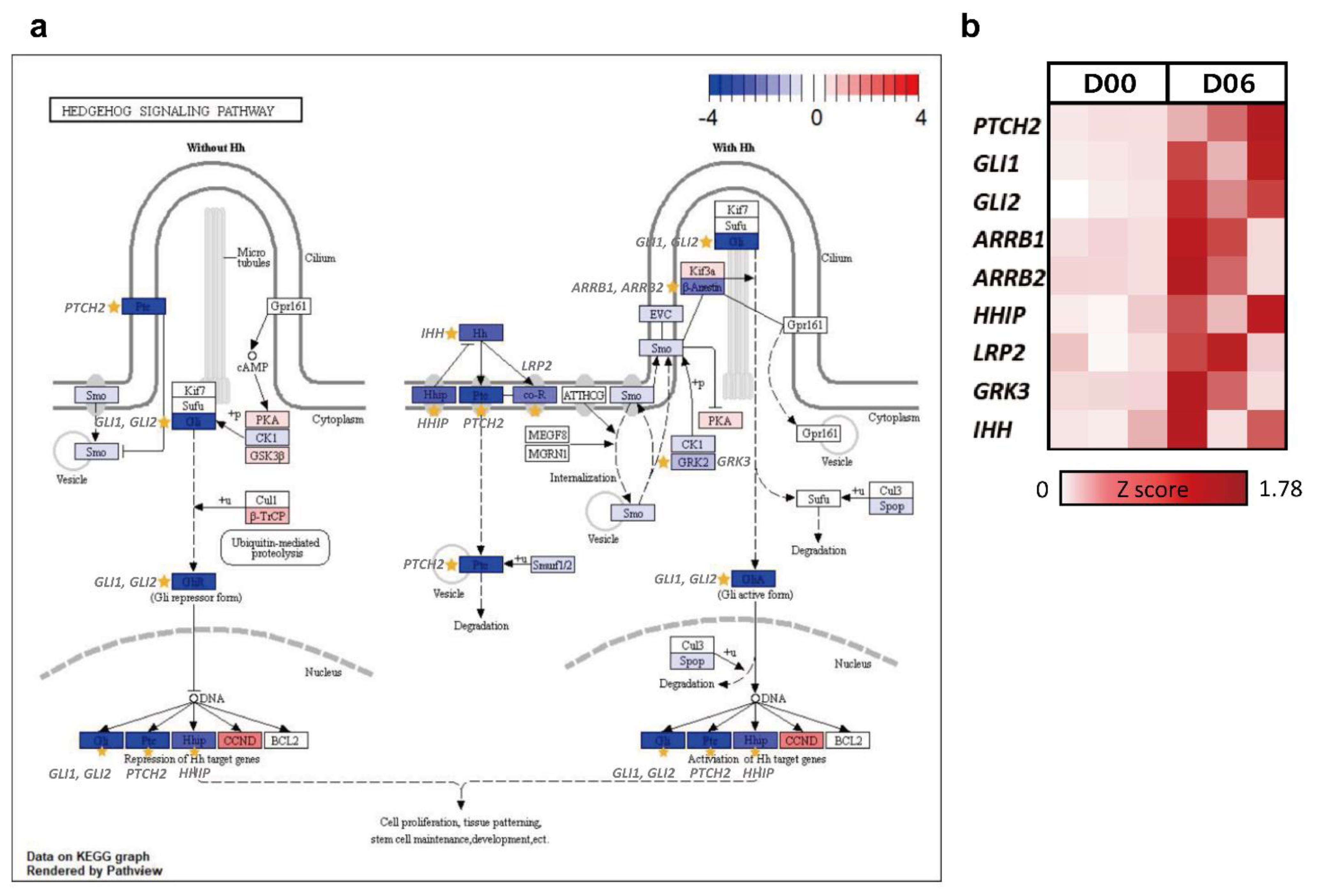 Animals 12 00376 g008