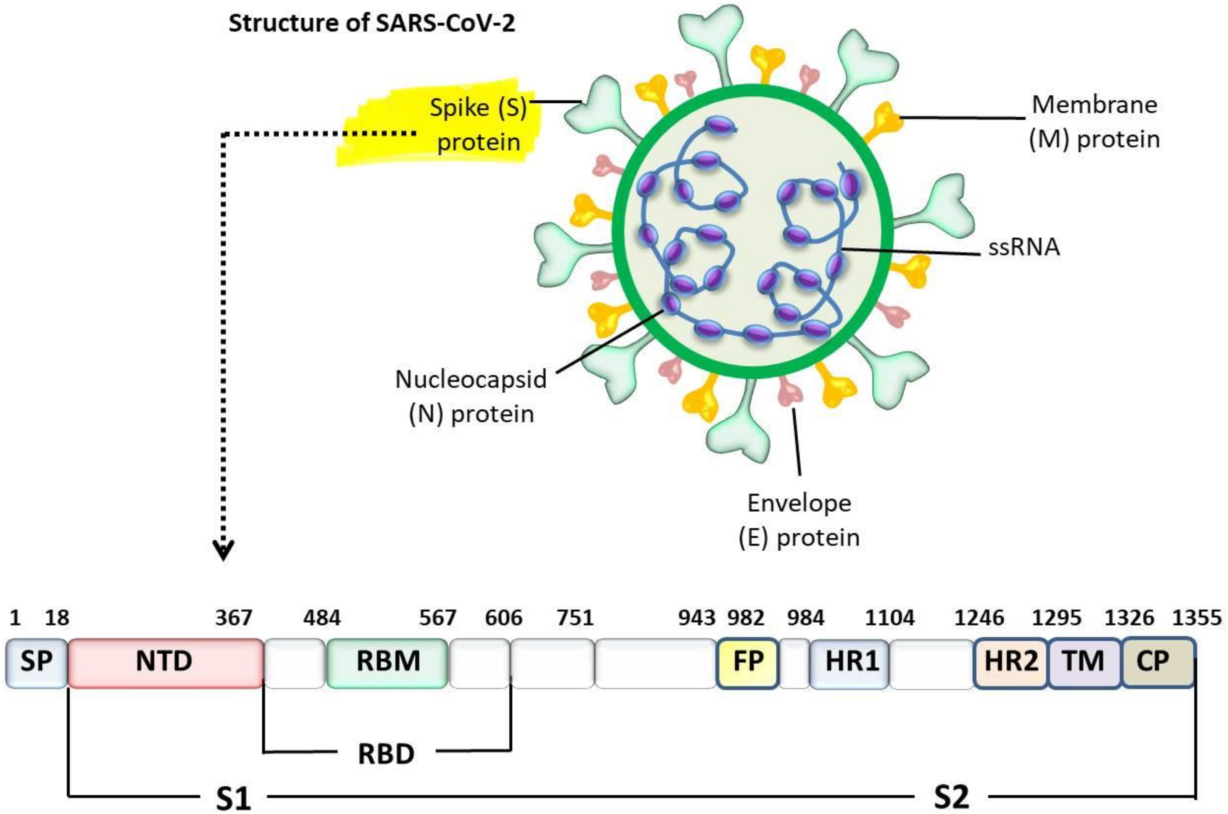 Animals 12 00378 g003