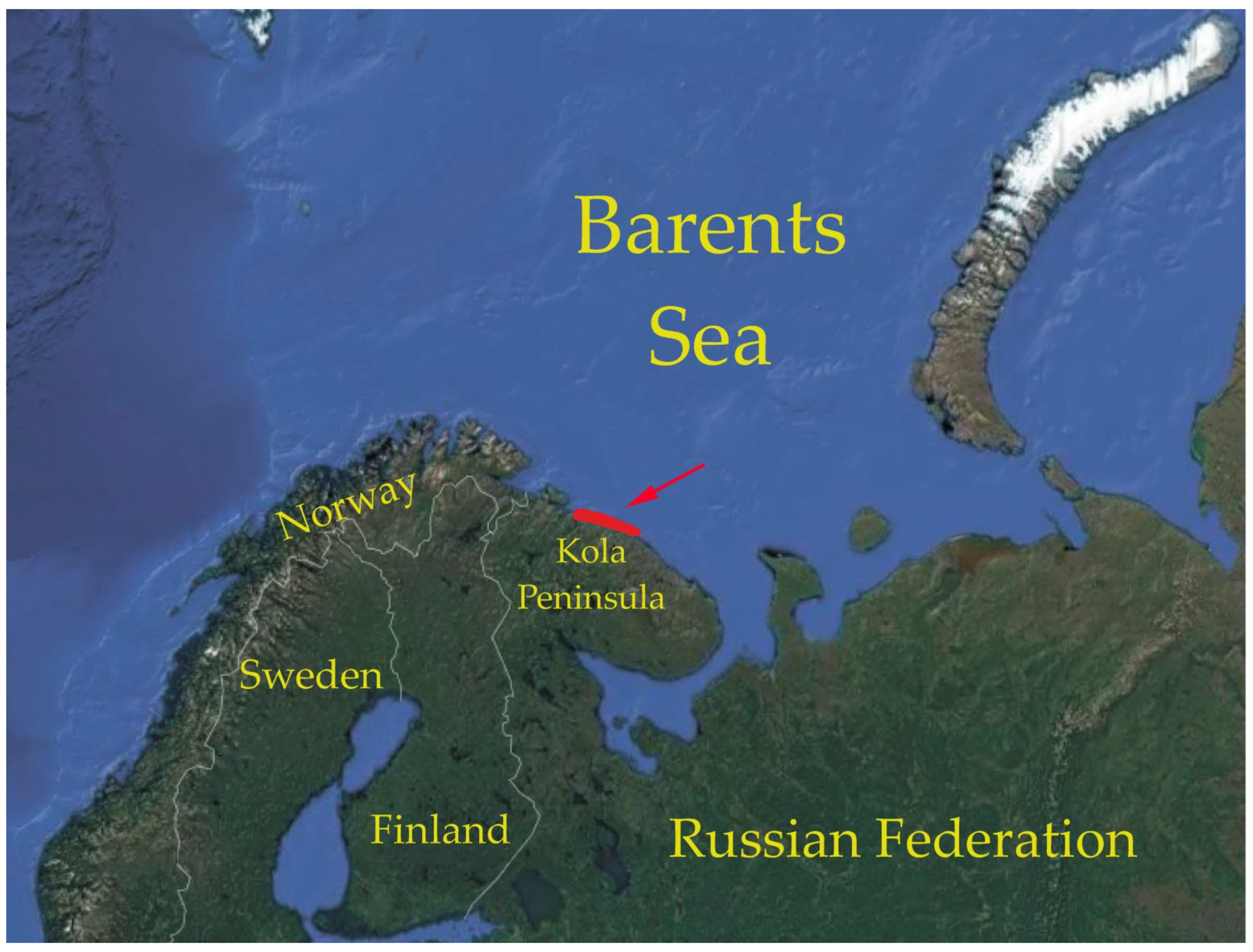 Animals 12 00379 g001