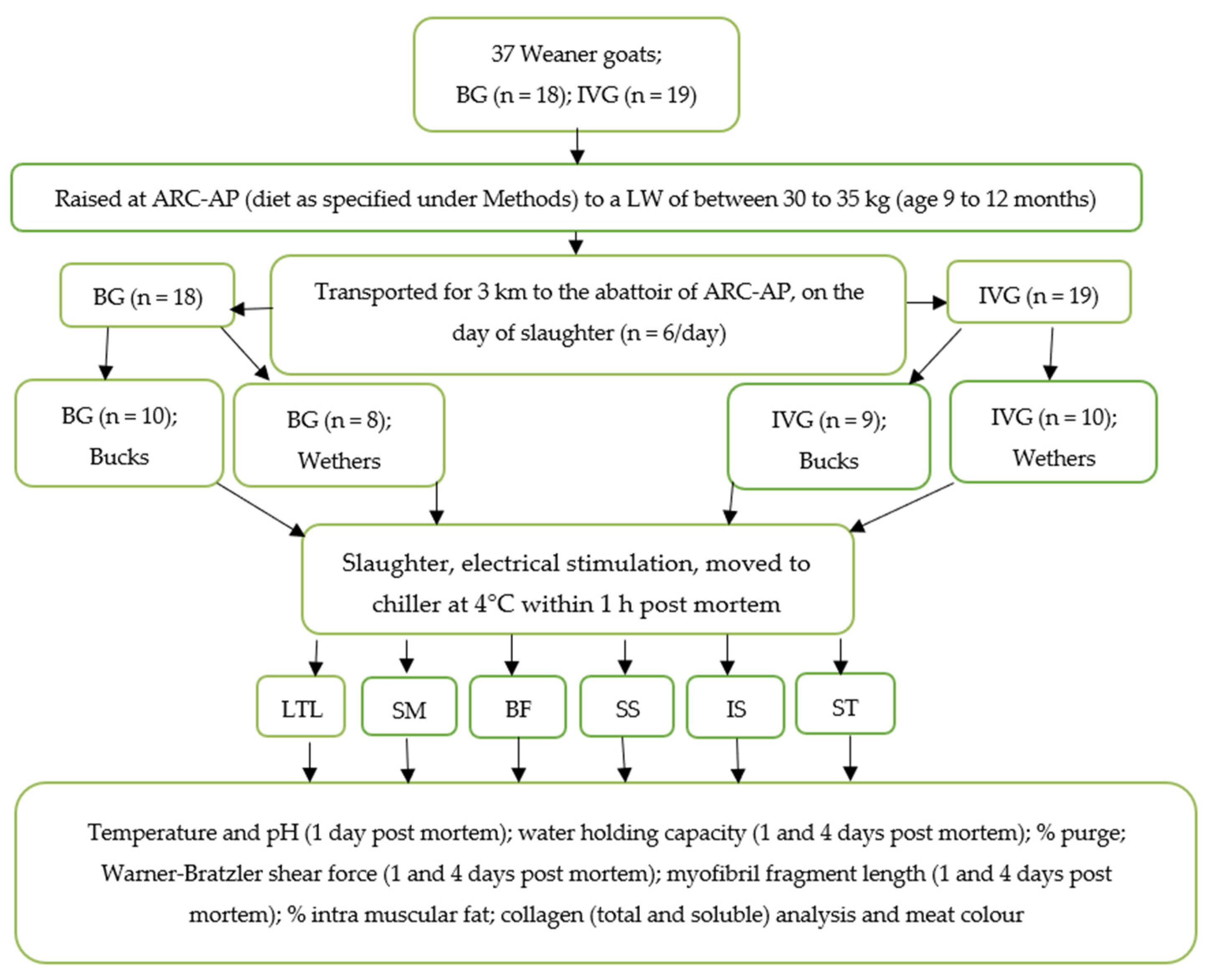 Animals 12 00382 g001