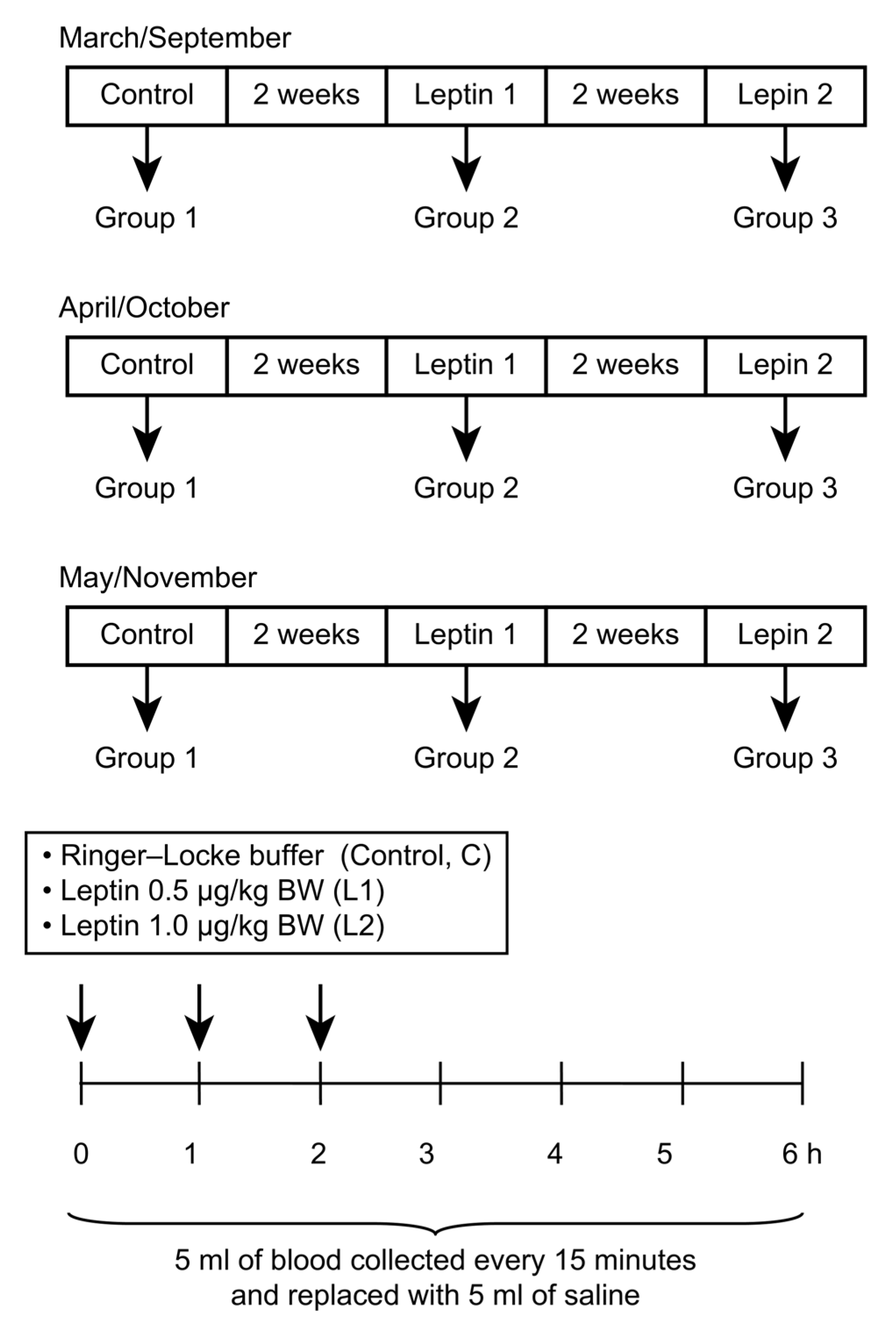 Animals 12 00403 g001