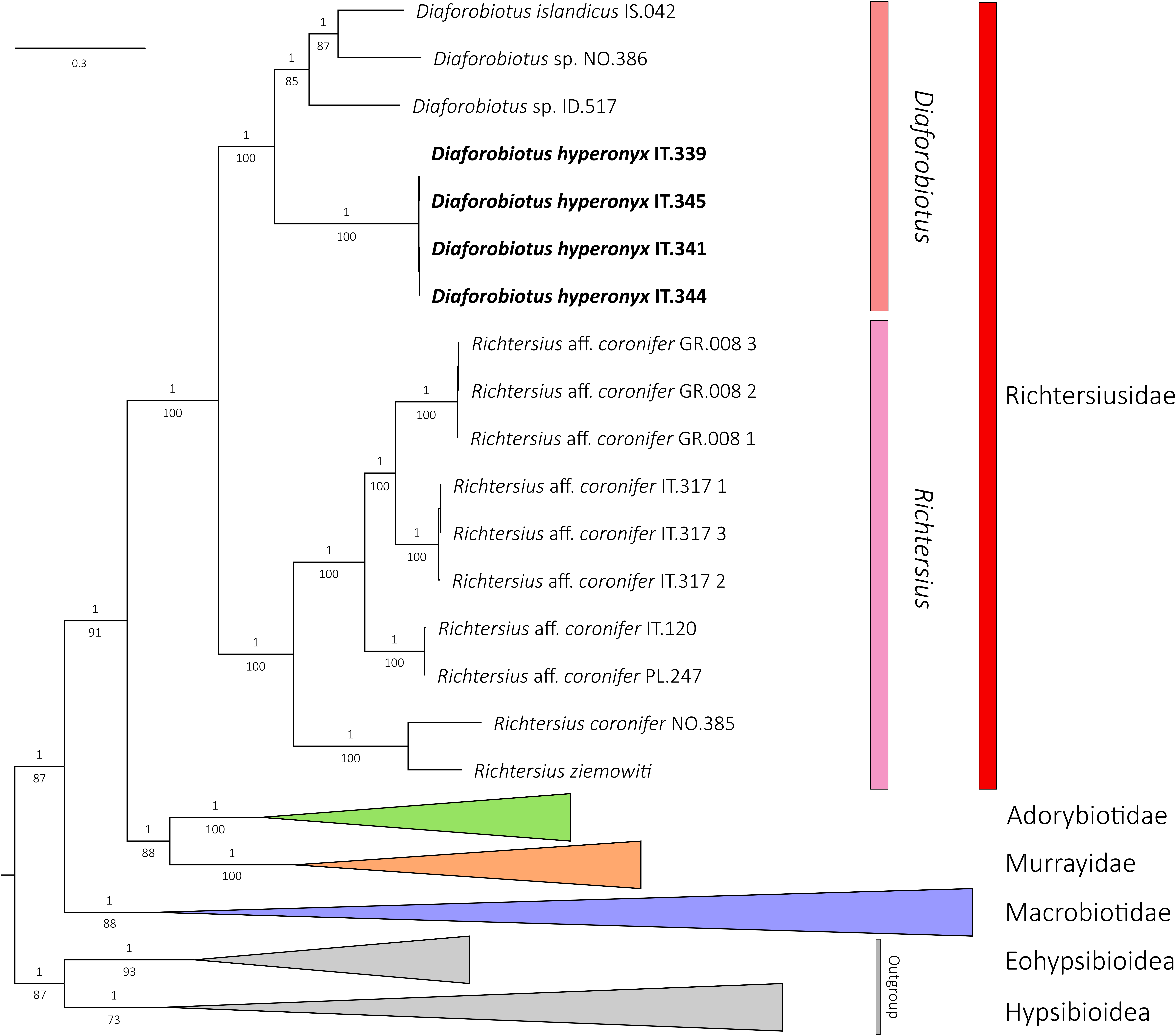 Animals 12 00404 g001 550