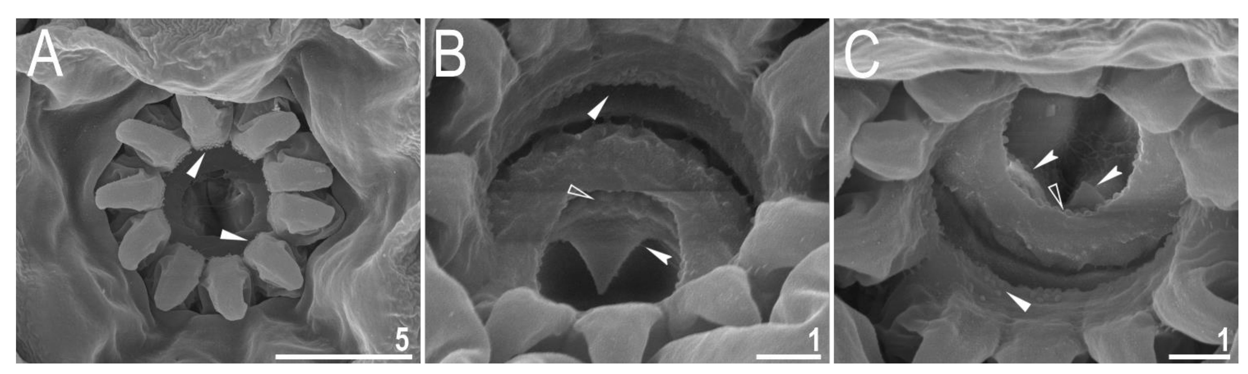 Animals 12 00404 g009 550